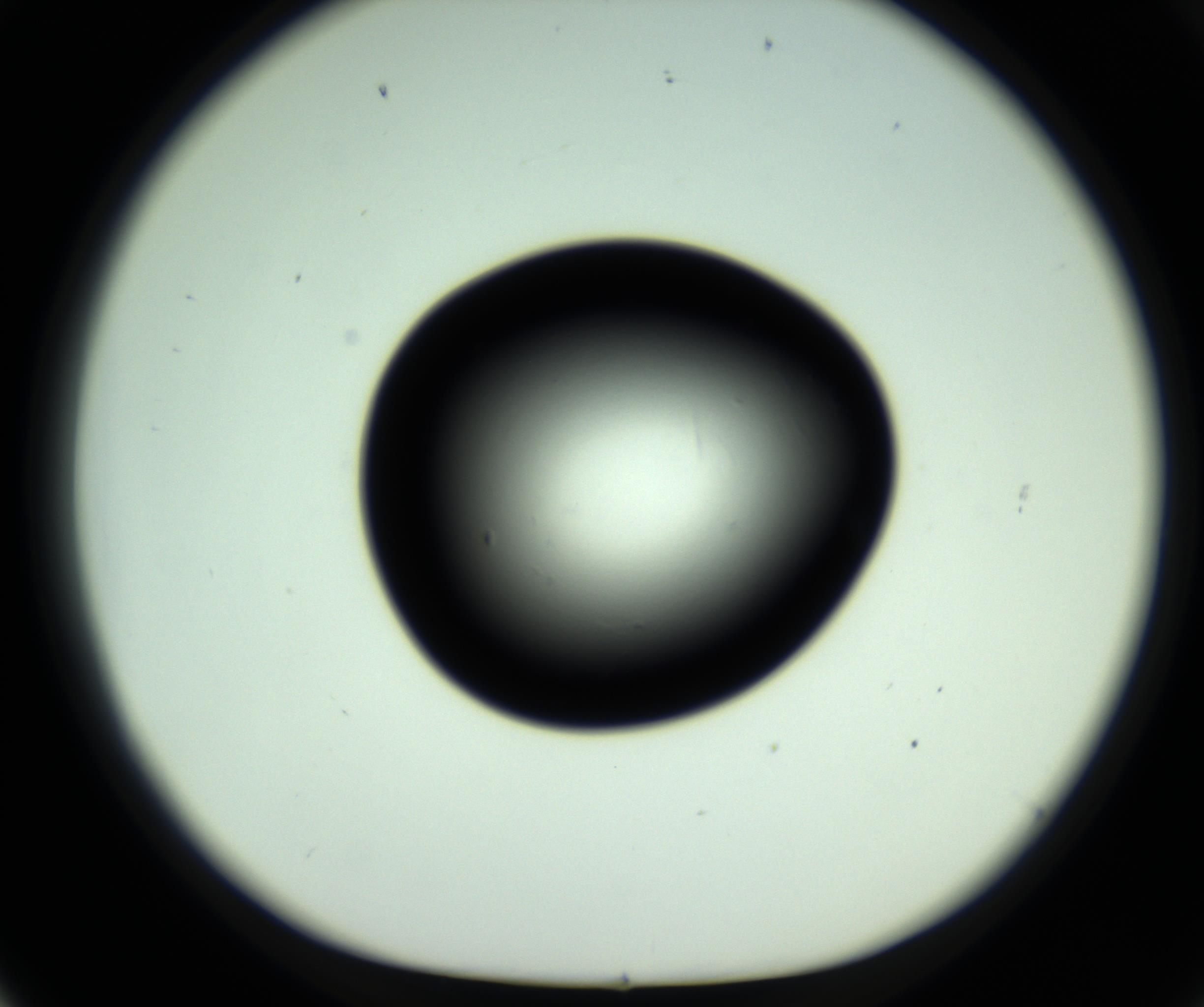 RI01_03_000_0212_Proj1_Clon1_MC_0000MC102809_006_161013_02_06_01_00_98_002_001_RAI.jpg