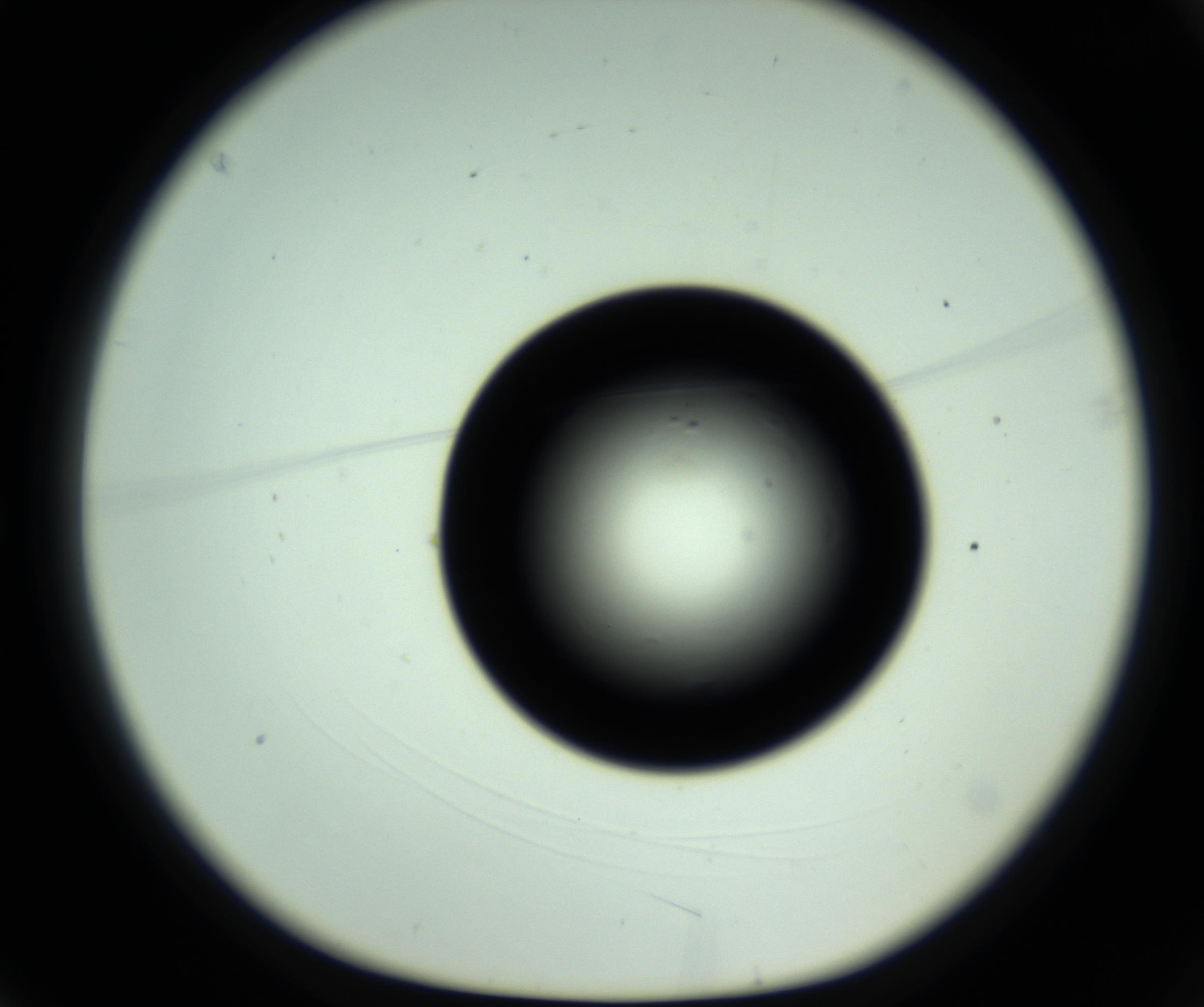RI01_03_000_0212_Proj1_Clon1_MC_0000MC102809_006_161013_03_01_01_00_98_002_001_RAI.jpg