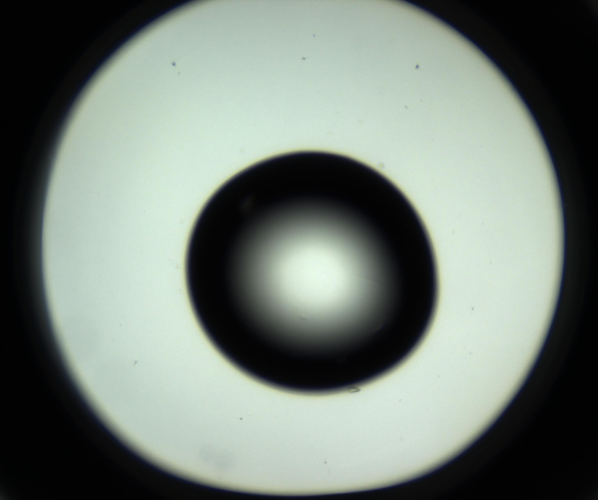 RI01_03_000_0212_Proj1_Clon1_MC_0000MC102809_006_161013_03_02_01_00_98_002_001_RAI.jpg