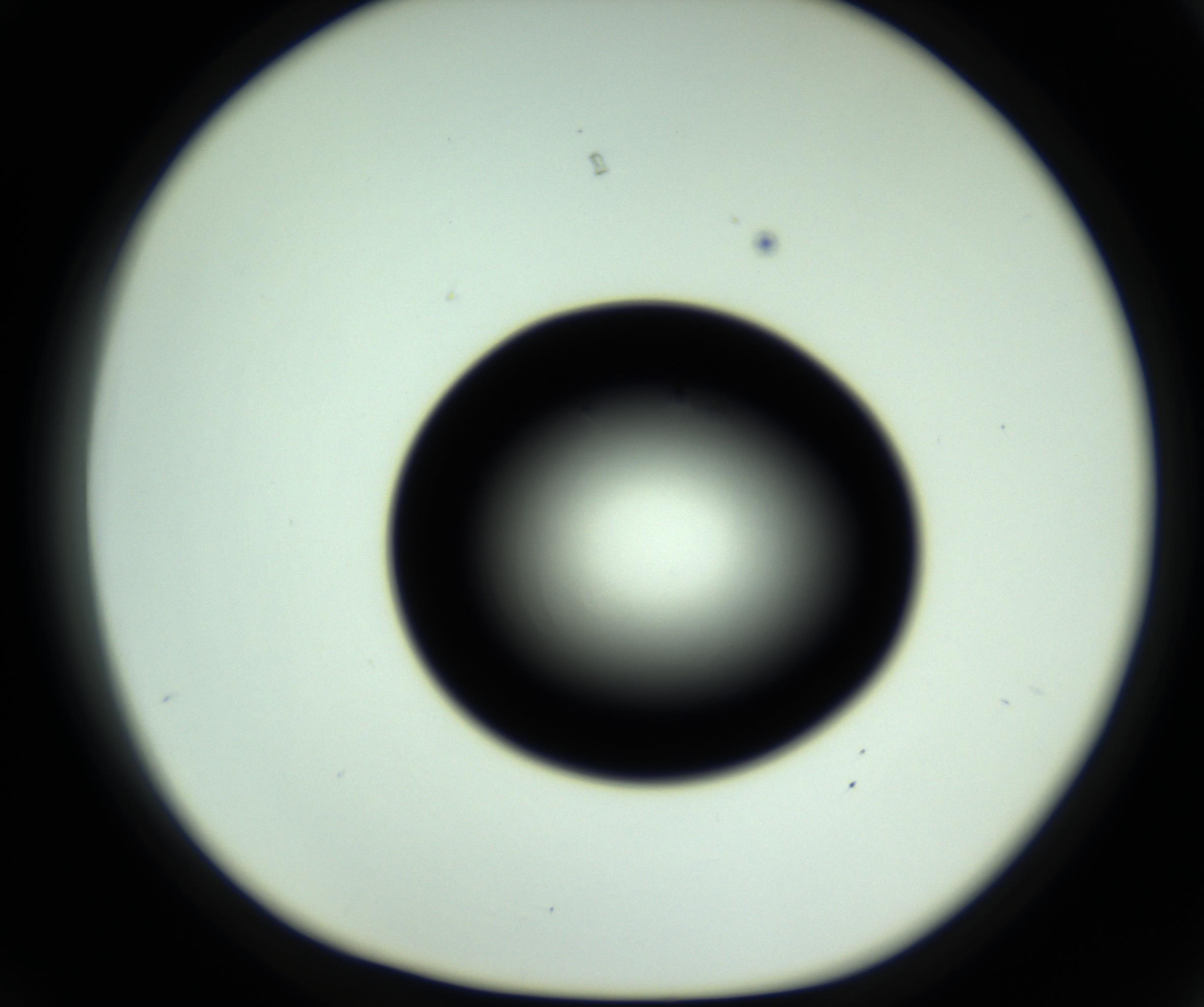 RI01_03_000_0212_Proj1_Clon1_MC_0000MC102809_006_161013_03_03_01_00_98_002_001_RAI.jpg