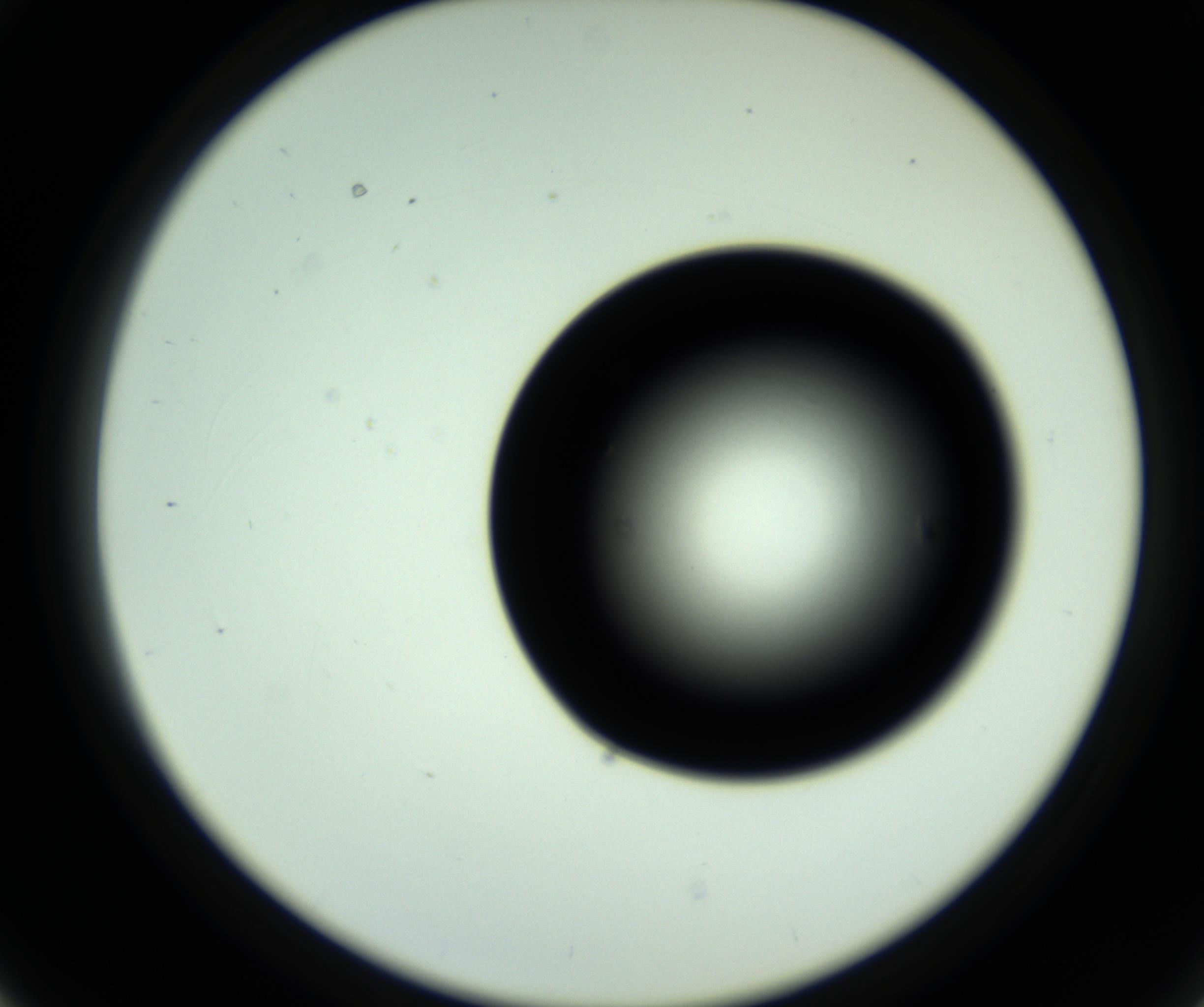 RI01_03_000_0212_Proj1_Clon1_MC_0000MC102809_006_161013_03_03_02_00_98_002_001_RAI.jpg