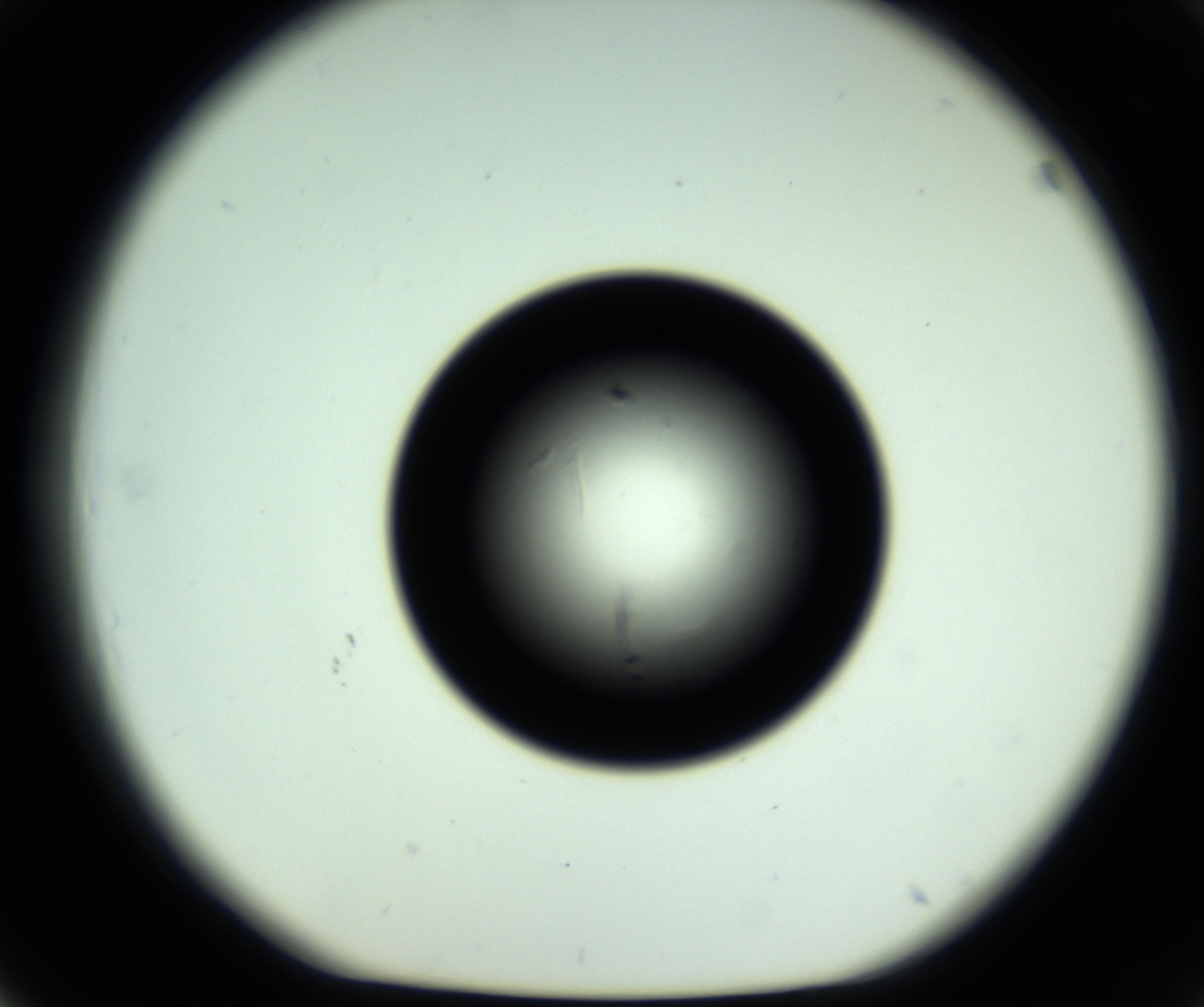 RI01_03_000_0212_Proj1_Clon1_MC_0000MC102809_006_161013_03_04_01_00_98_002_001_RAI.jpg