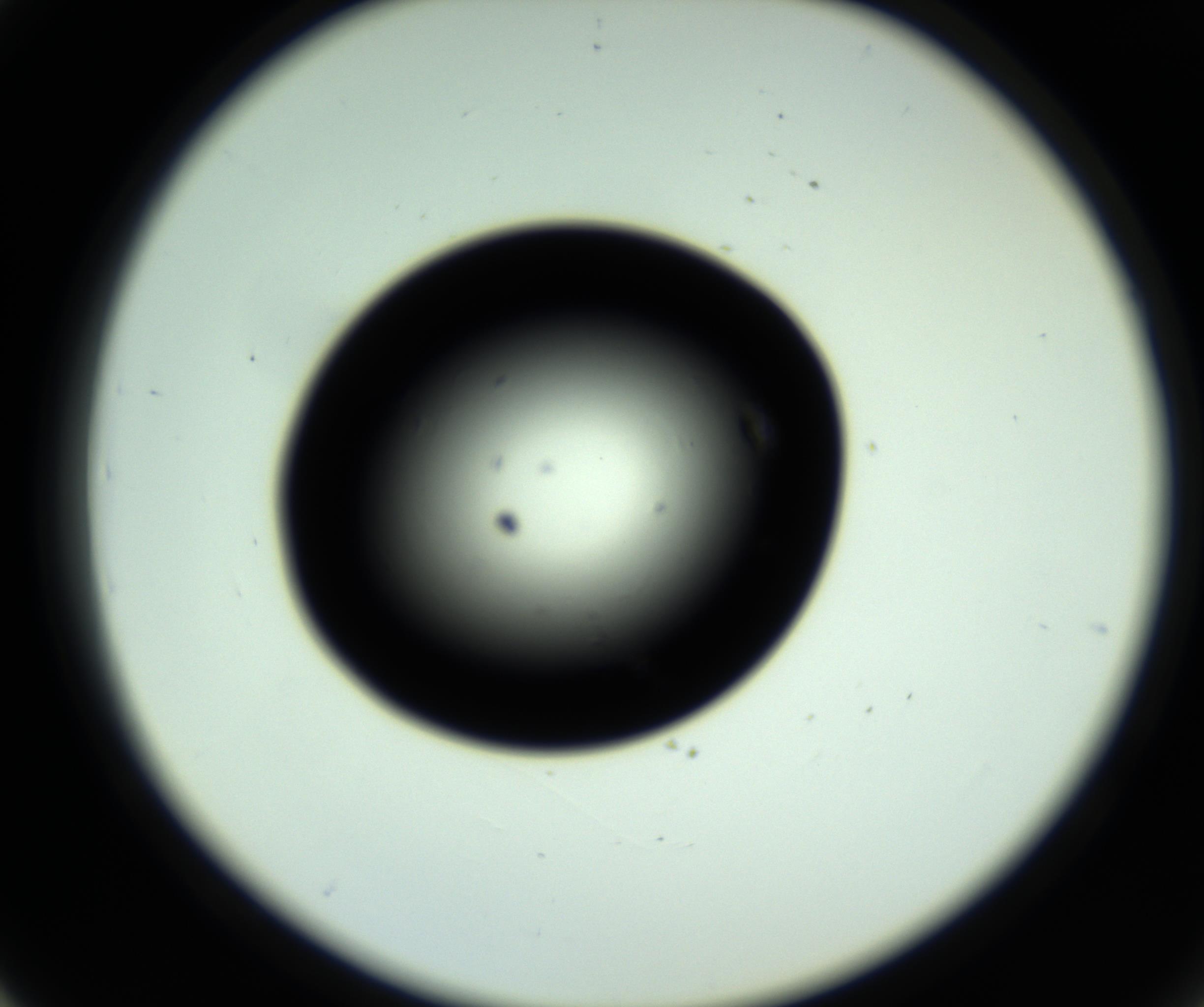 RI01_03_000_0212_Proj1_Clon1_MC_0000MC102809_006_161013_03_04_02_00_98_002_001_RAI.jpg