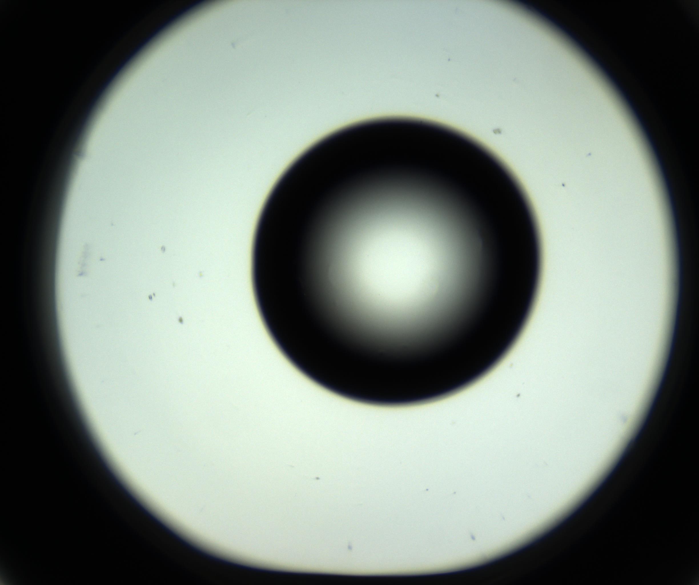 RI01_03_000_0212_Proj1_Clon1_MC_0000MC102809_006_161013_03_05_01_00_98_002_001_RAI.jpg