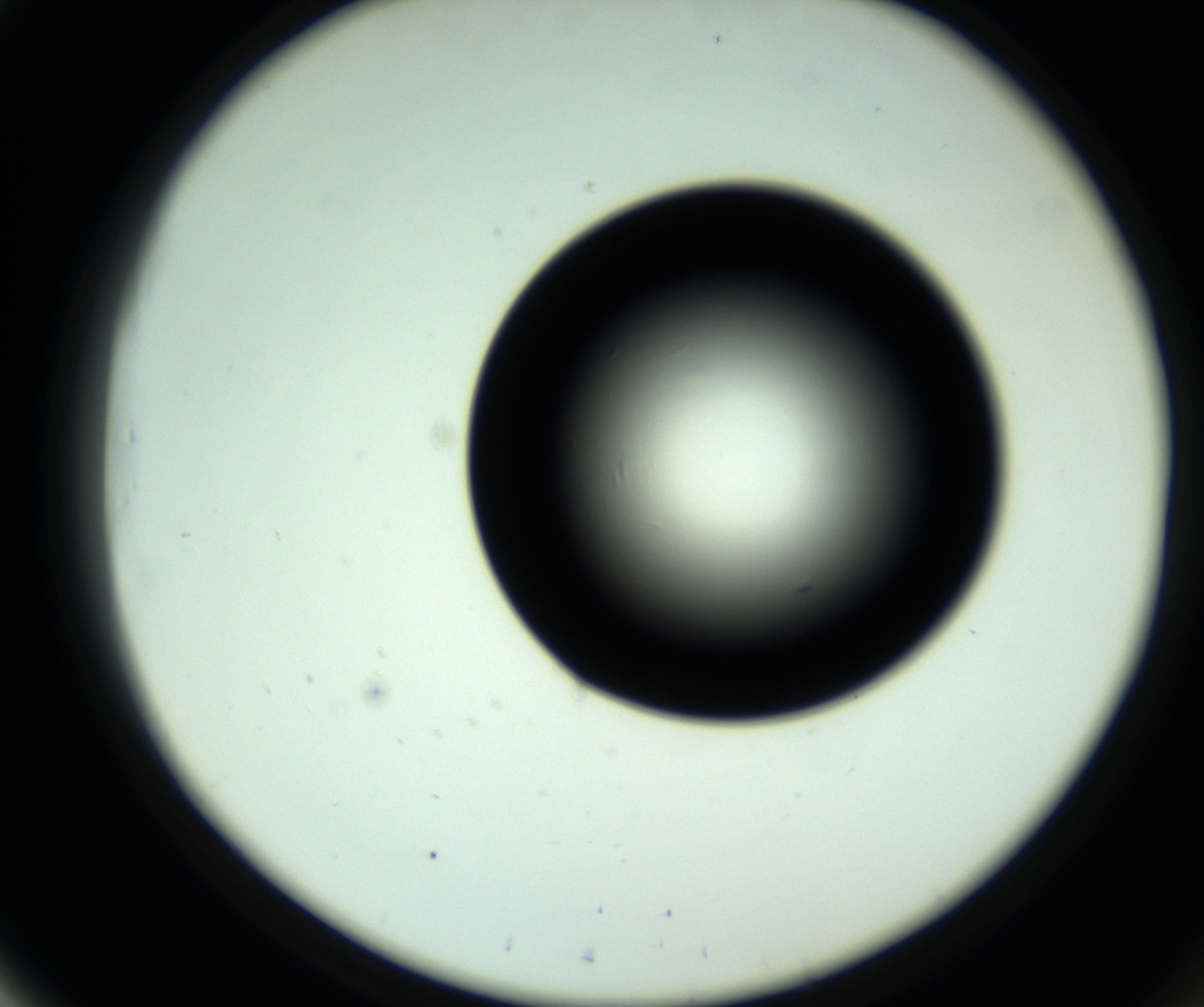 RI01_03_000_0212_Proj1_Clon1_MC_0000MC102809_006_161013_03_05_02_00_98_002_001_RAI.jpg
