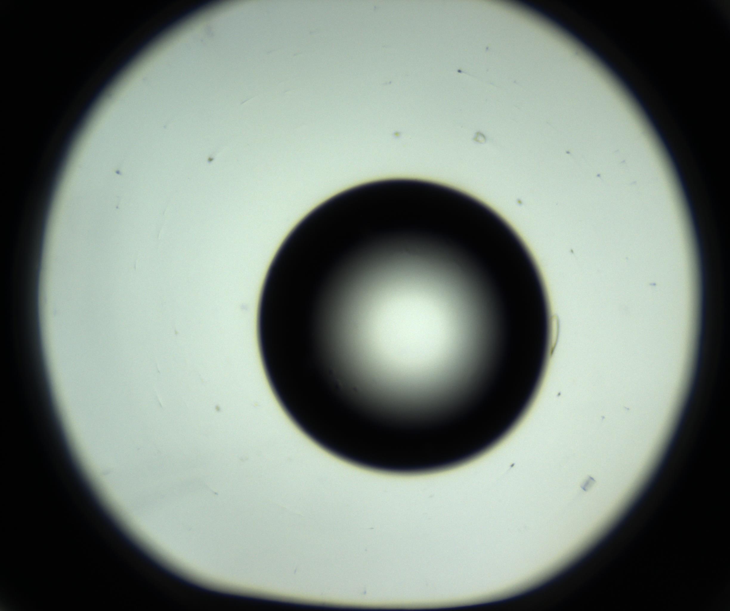 RI01_03_000_0212_Proj1_Clon1_MC_0000MC102809_006_161013_04_01_01_00_98_002_001_RAI.jpg