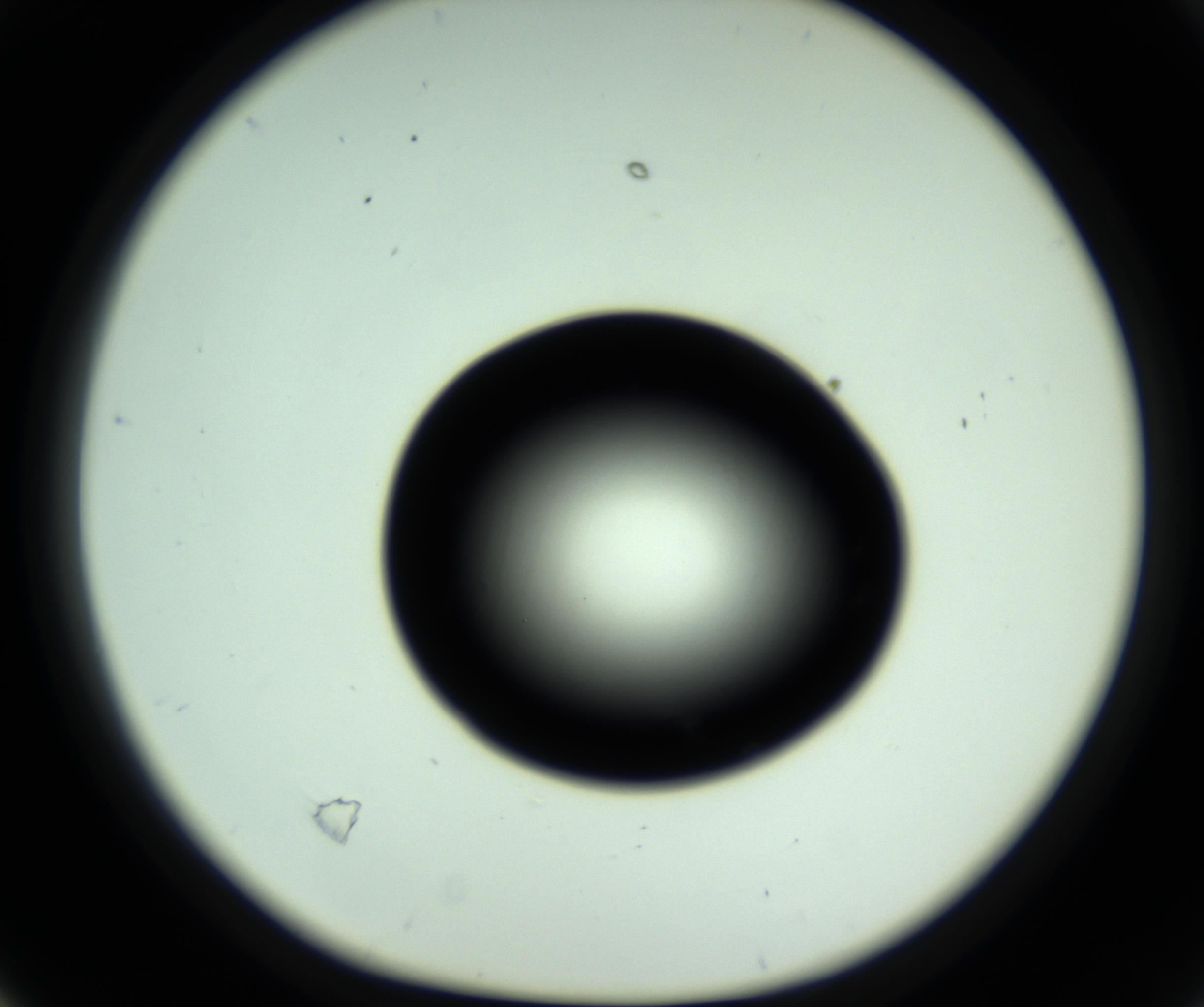 RI01_03_000_0212_Proj1_Clon1_MC_0000MC102809_006_161013_04_02_01_00_98_002_001_RAI.jpg