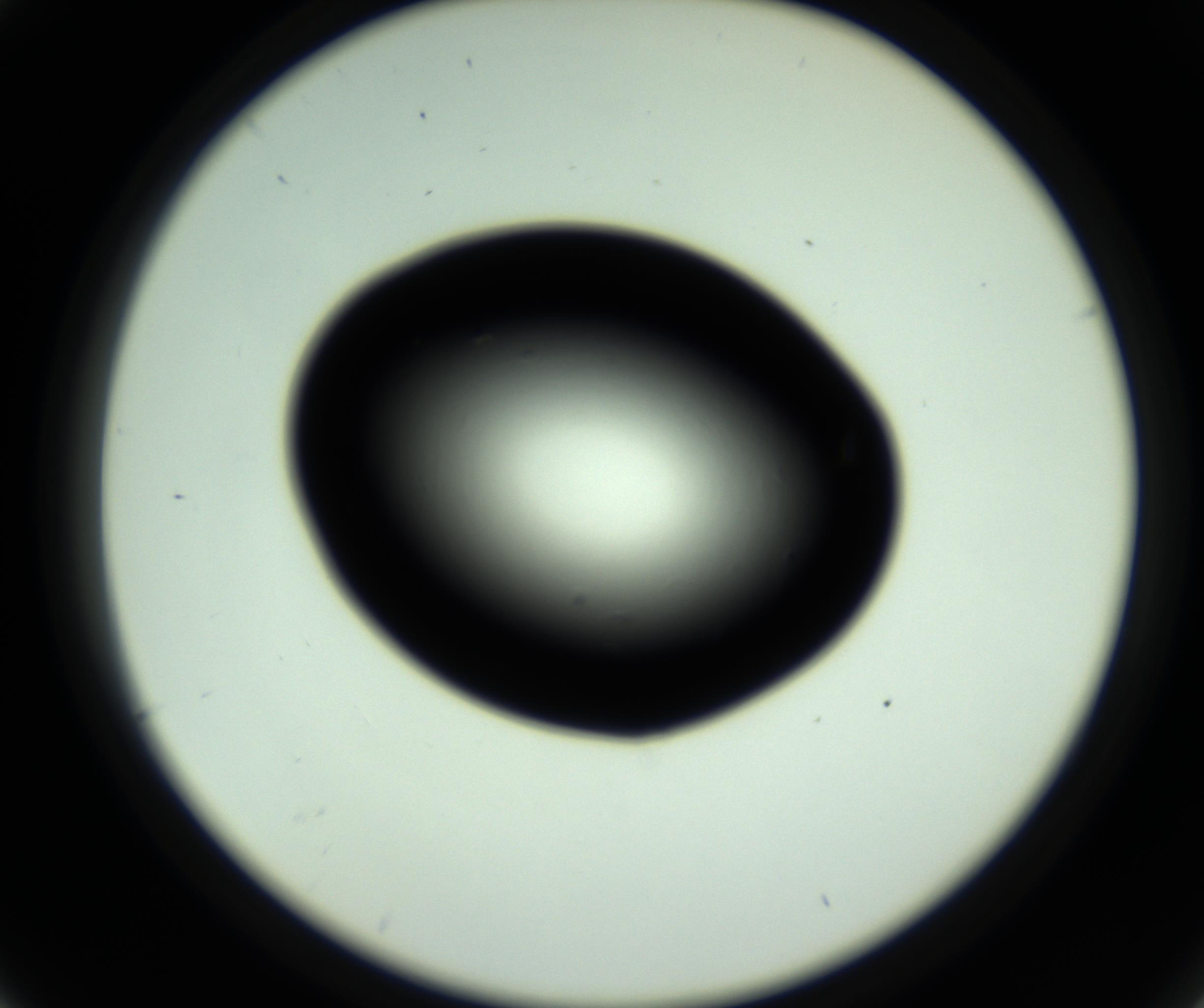 RI01_03_000_0212_Proj1_Clon1_MC_0000MC102809_006_161013_04_02_02_00_98_002_001_RAI.jpg