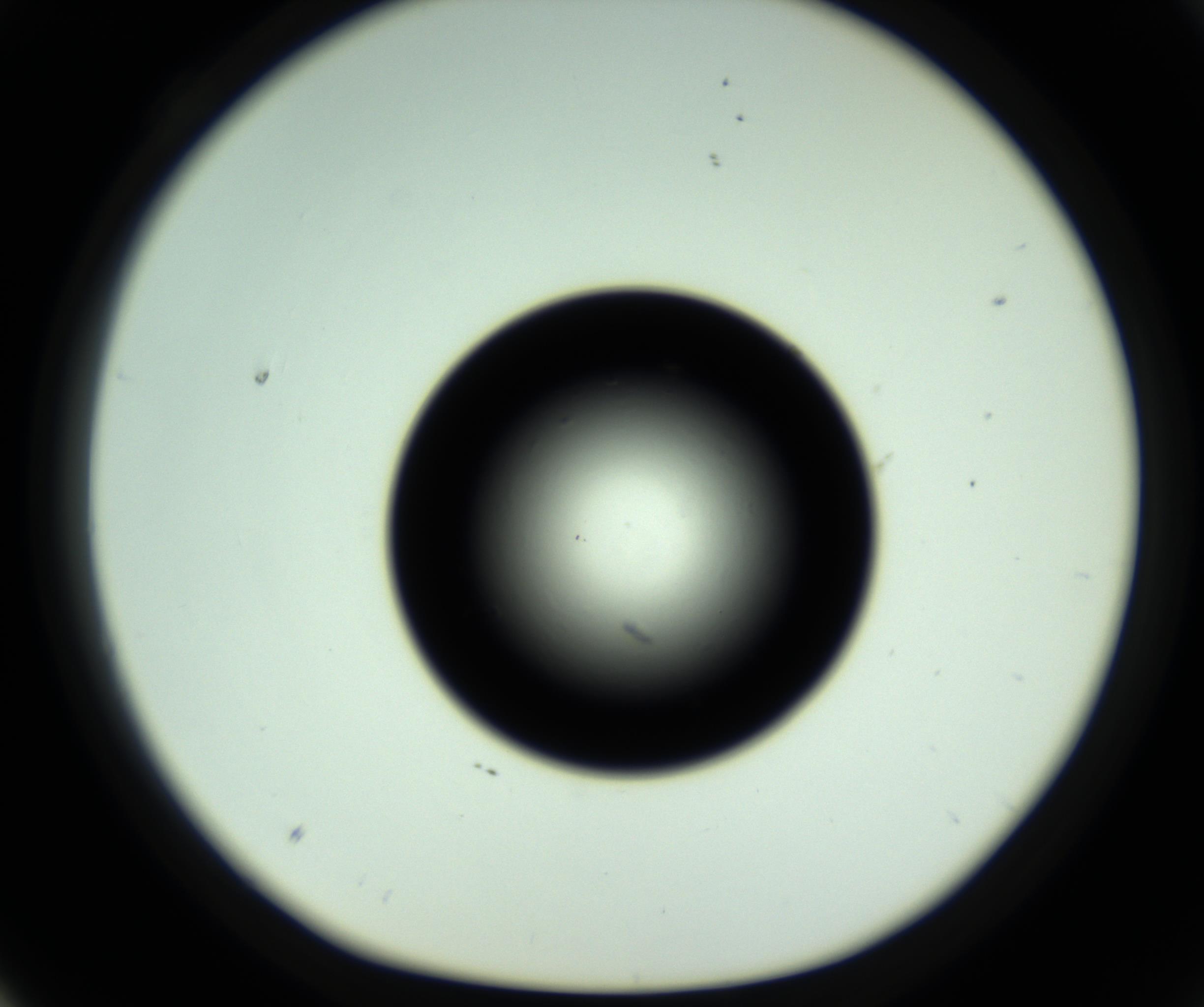 RI01_03_000_0212_Proj1_Clon1_MC_0000MC102809_006_161013_04_03_01_00_98_002_001_RAI.jpg
