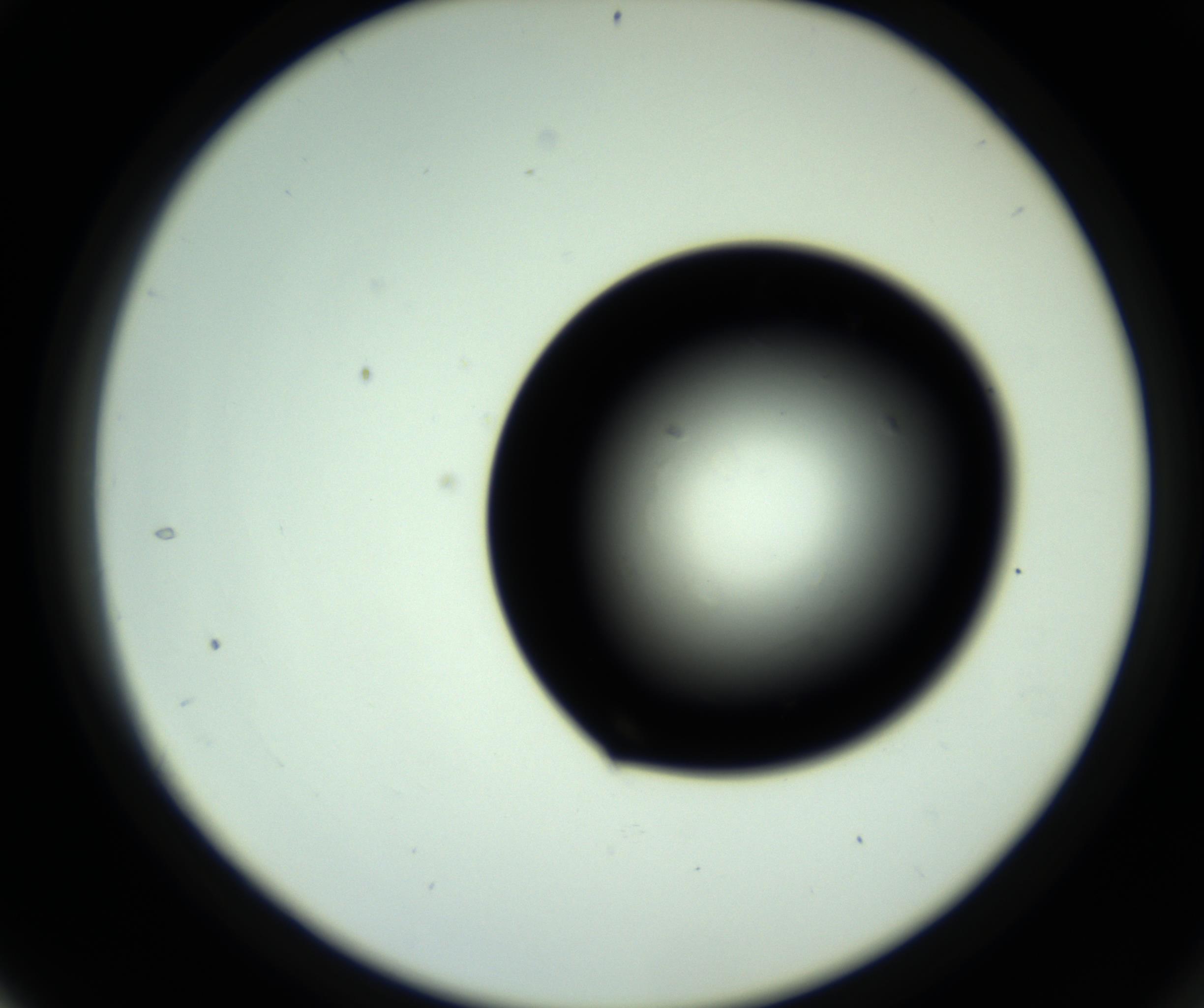RI01_03_000_0212_Proj1_Clon1_MC_0000MC102809_006_161013_04_03_02_00_98_002_001_RAI.jpg