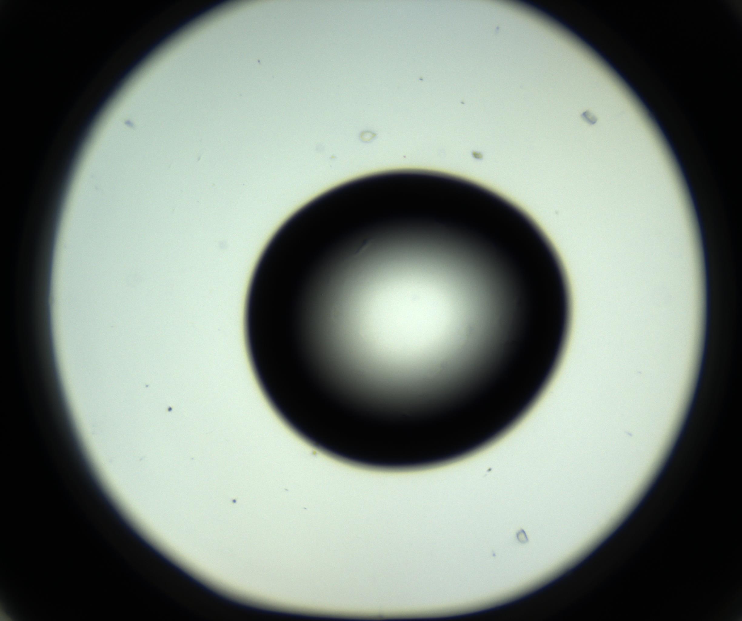 RI01_03_000_0212_Proj1_Clon1_MC_0000MC102809_006_161013_04_04_01_00_98_002_001_RAI.jpg