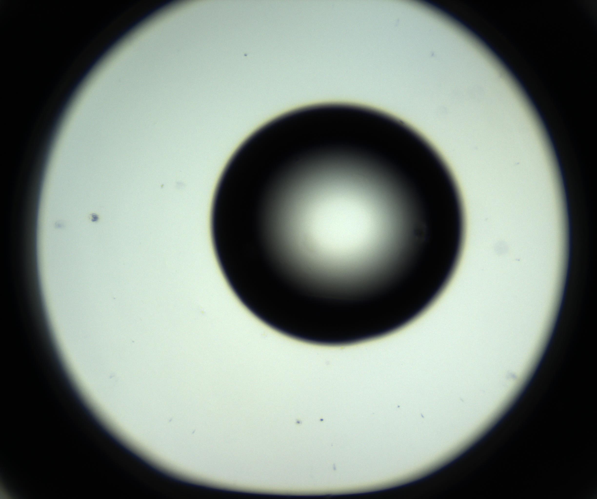 RI01_03_000_0212_Proj1_Clon1_MC_0000MC102809_006_161013_04_05_01_00_98_002_001_RAI.jpg