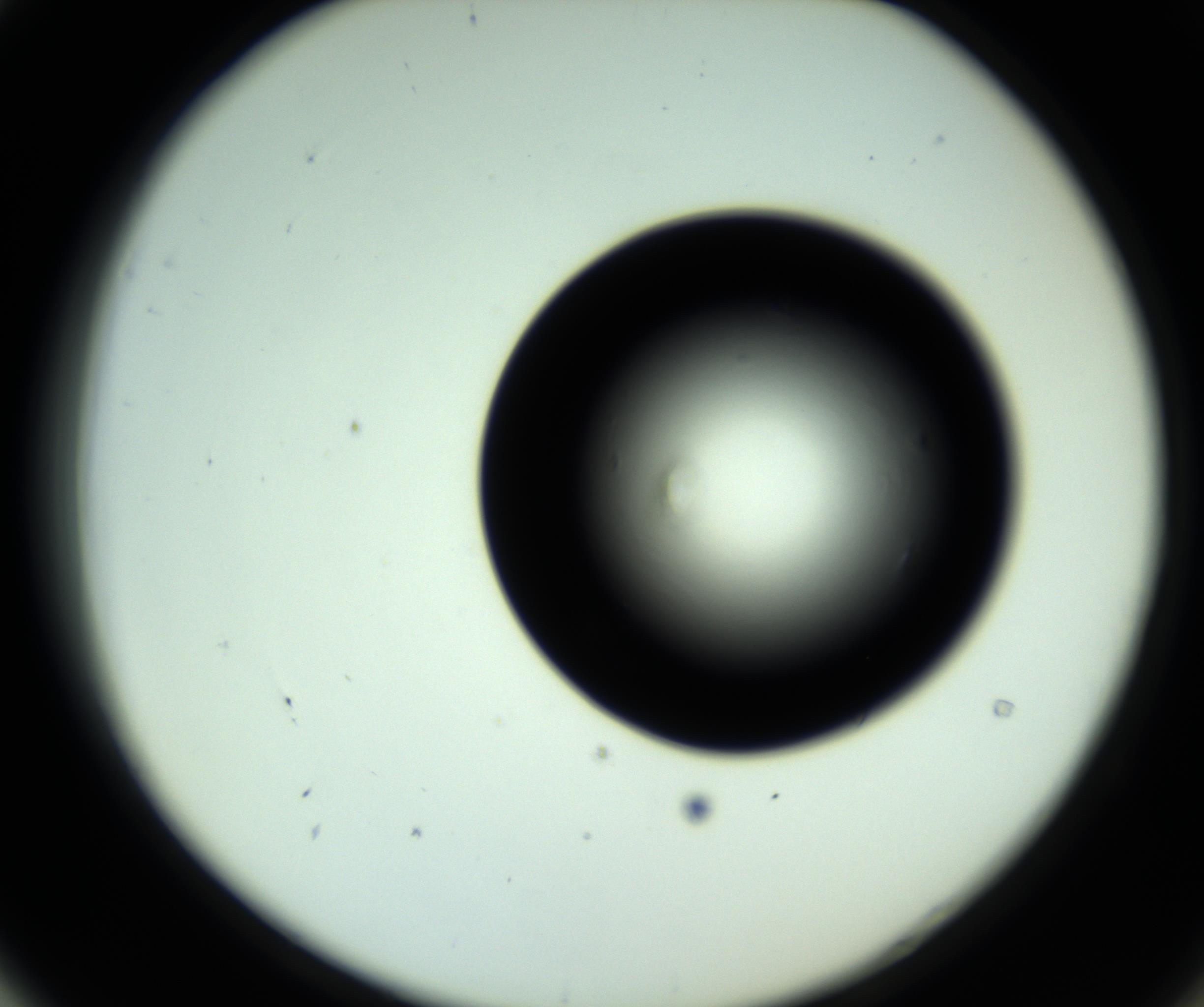 RI01_03_000_0212_Proj1_Clon1_MC_0000MC102809_006_161013_04_05_02_00_98_002_001_RAI.jpg