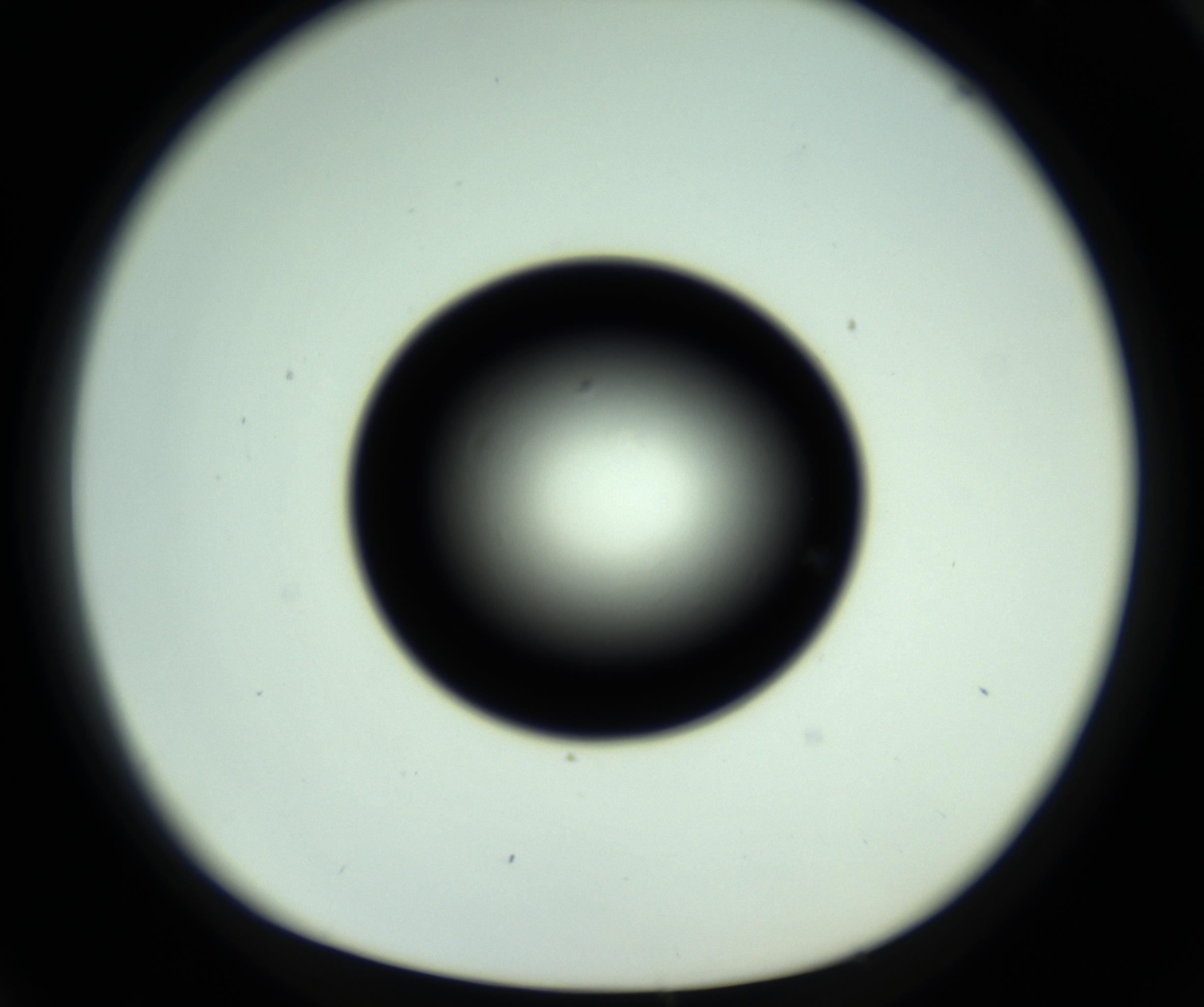 RI01_03_000_0212_Proj1_Clon1_MC_0000MC102809_006_161013_04_06_01_00_98_002_001_RAI.jpg