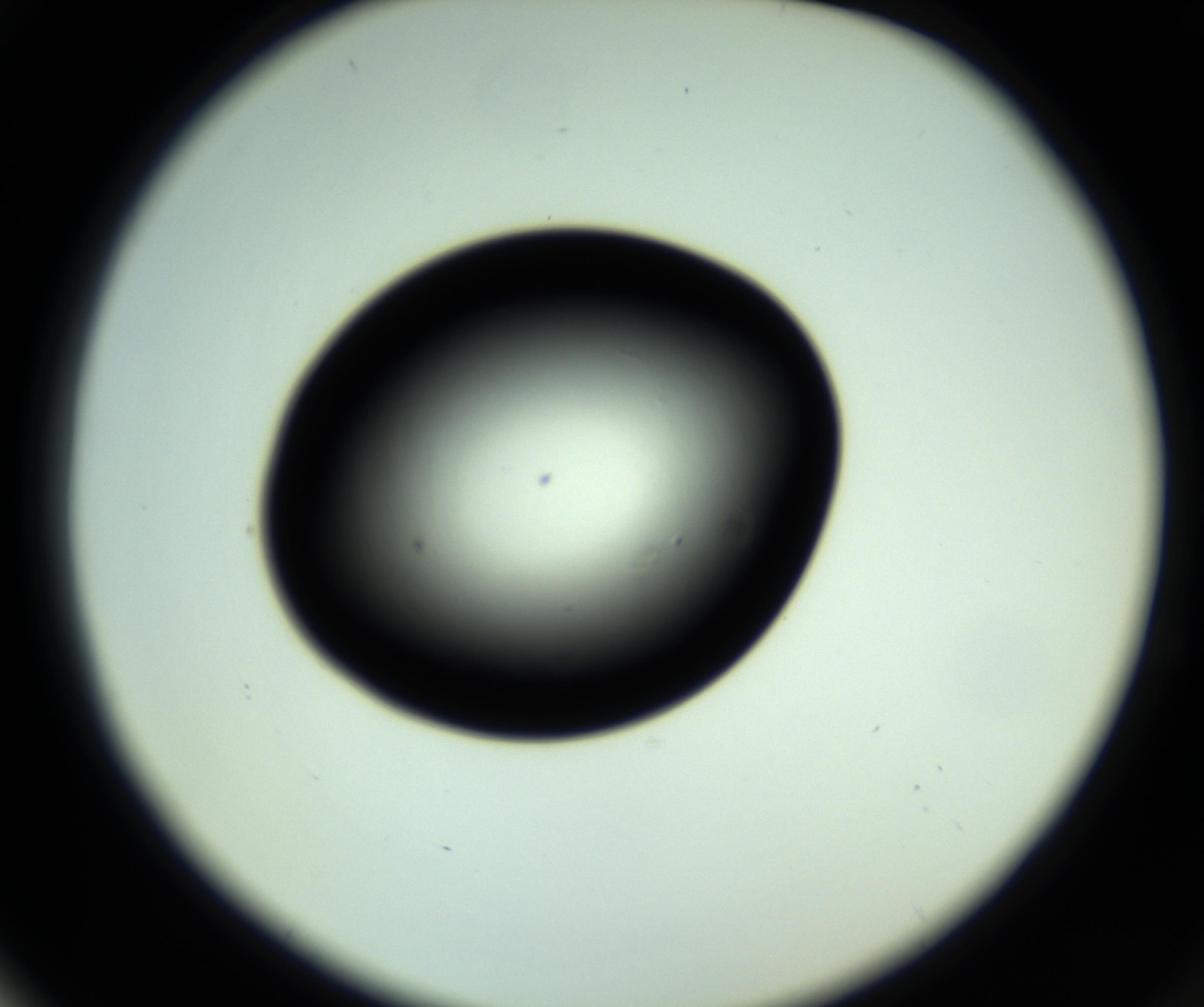 RI01_03_000_0212_Proj1_Clon1_MC_0000MC102809_006_161013_04_06_02_00_98_002_001_RAI.jpg
