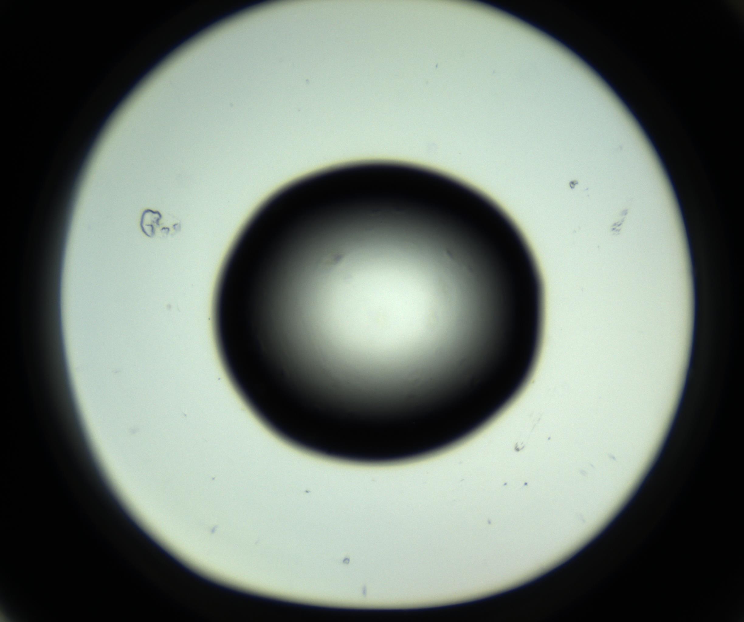 RI01_03_000_0212_Proj1_Clon1_MC_0000MC102809_006_161013_04_07_01_00_98_002_001_RAI.jpg