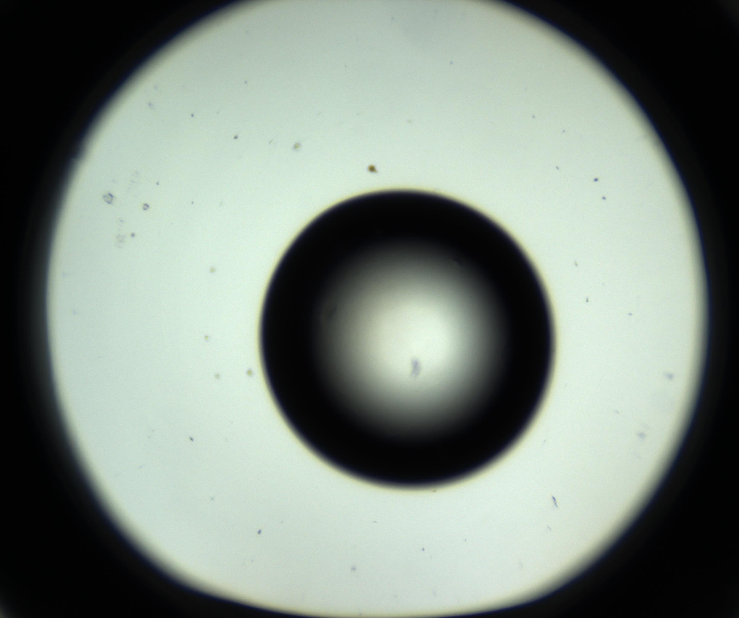 RI01_03_000_0212_Proj1_Clon1_MC_0000MC102809_006_161013_05_01_01_00_98_002_001_RAI.jpg