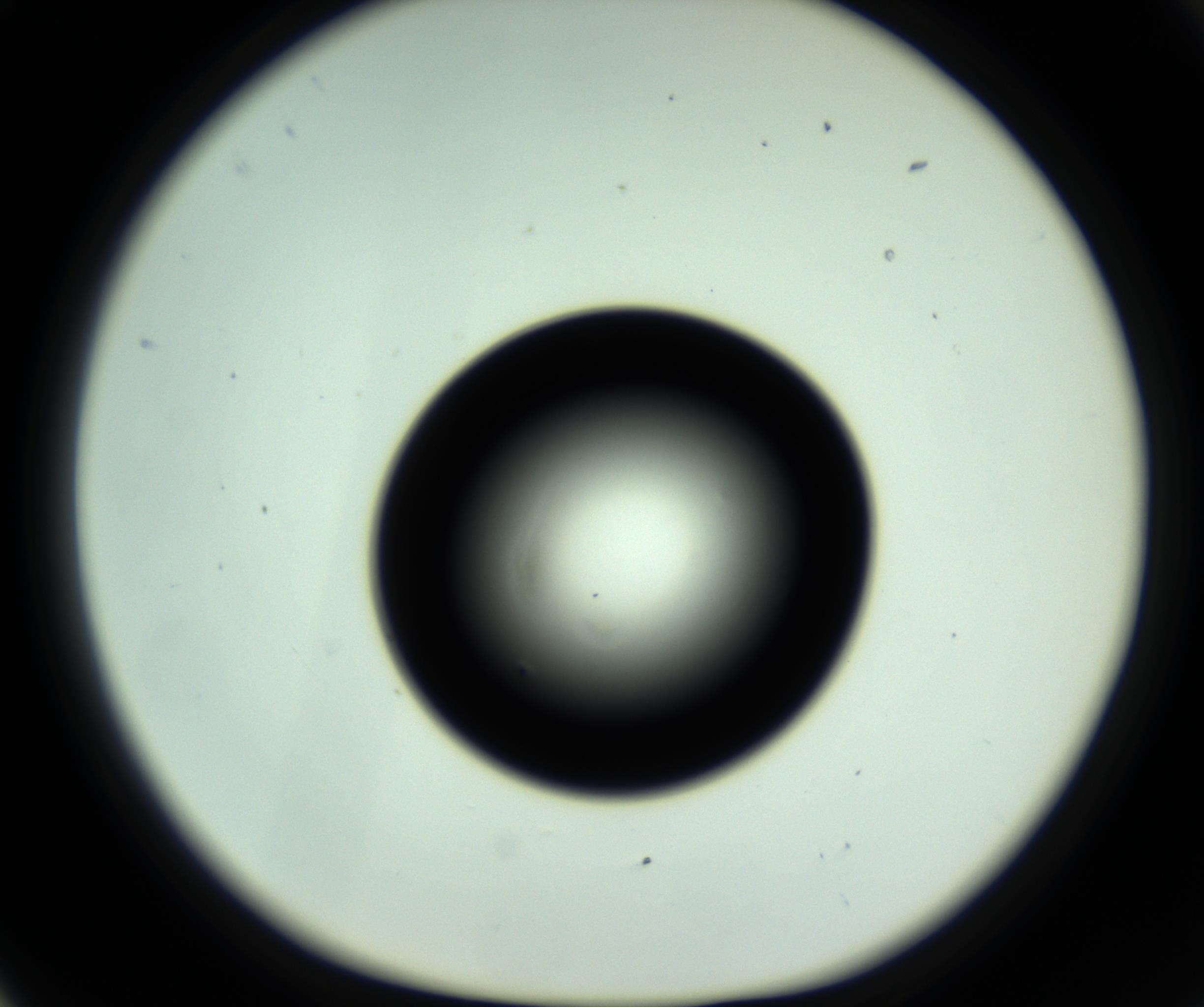 RI01_03_000_0212_Proj1_Clon1_MC_0000MC102809_006_161013_05_02_01_00_98_002_001_RAI.jpg