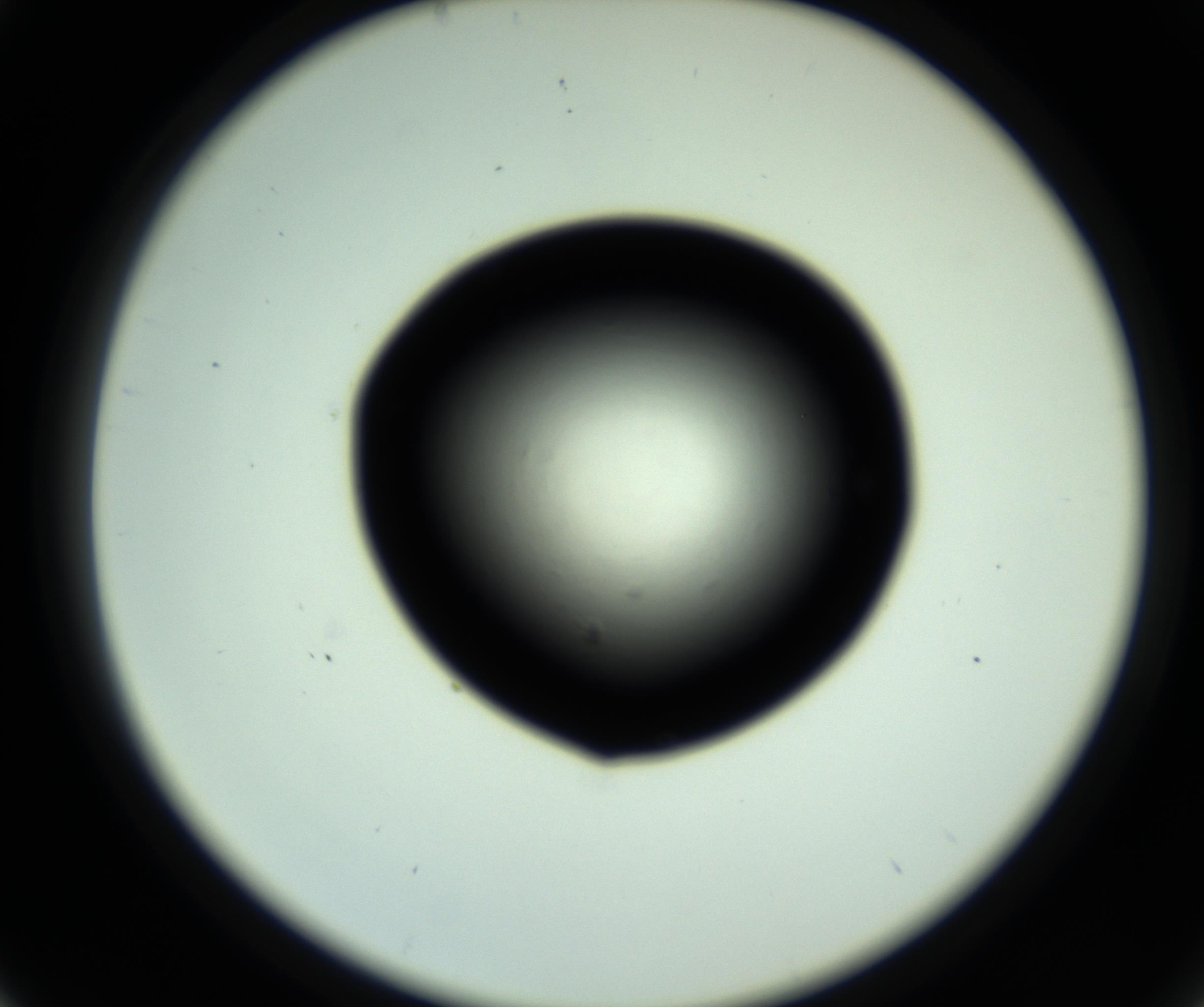 RI01_03_000_0212_Proj1_Clon1_MC_0000MC102809_006_161013_05_03_02_00_98_002_001_RAI.jpg