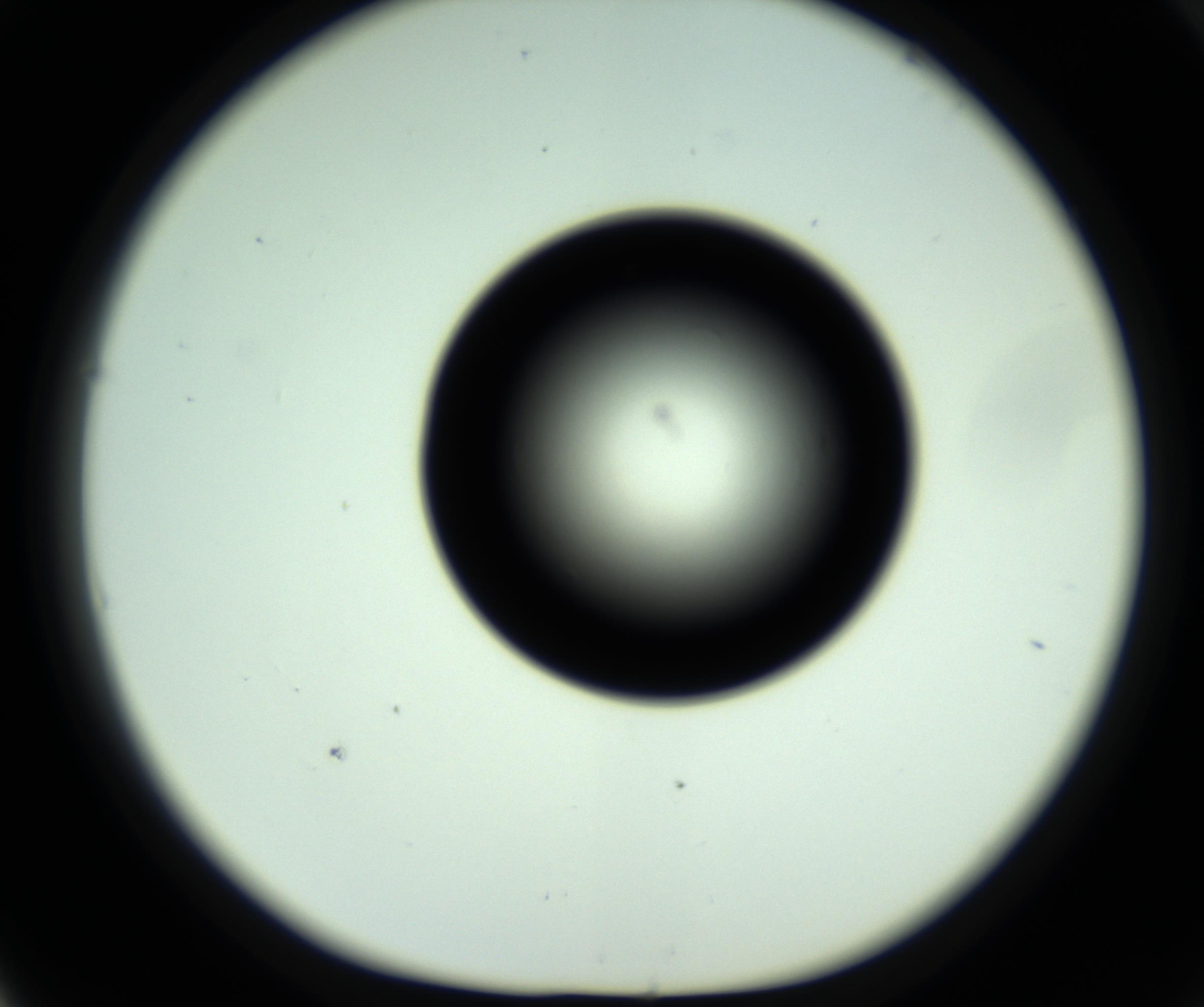 RI01_03_000_0212_Proj1_Clon1_MC_0000MC102809_006_161013_05_05_01_00_98_002_001_RAI.jpg
