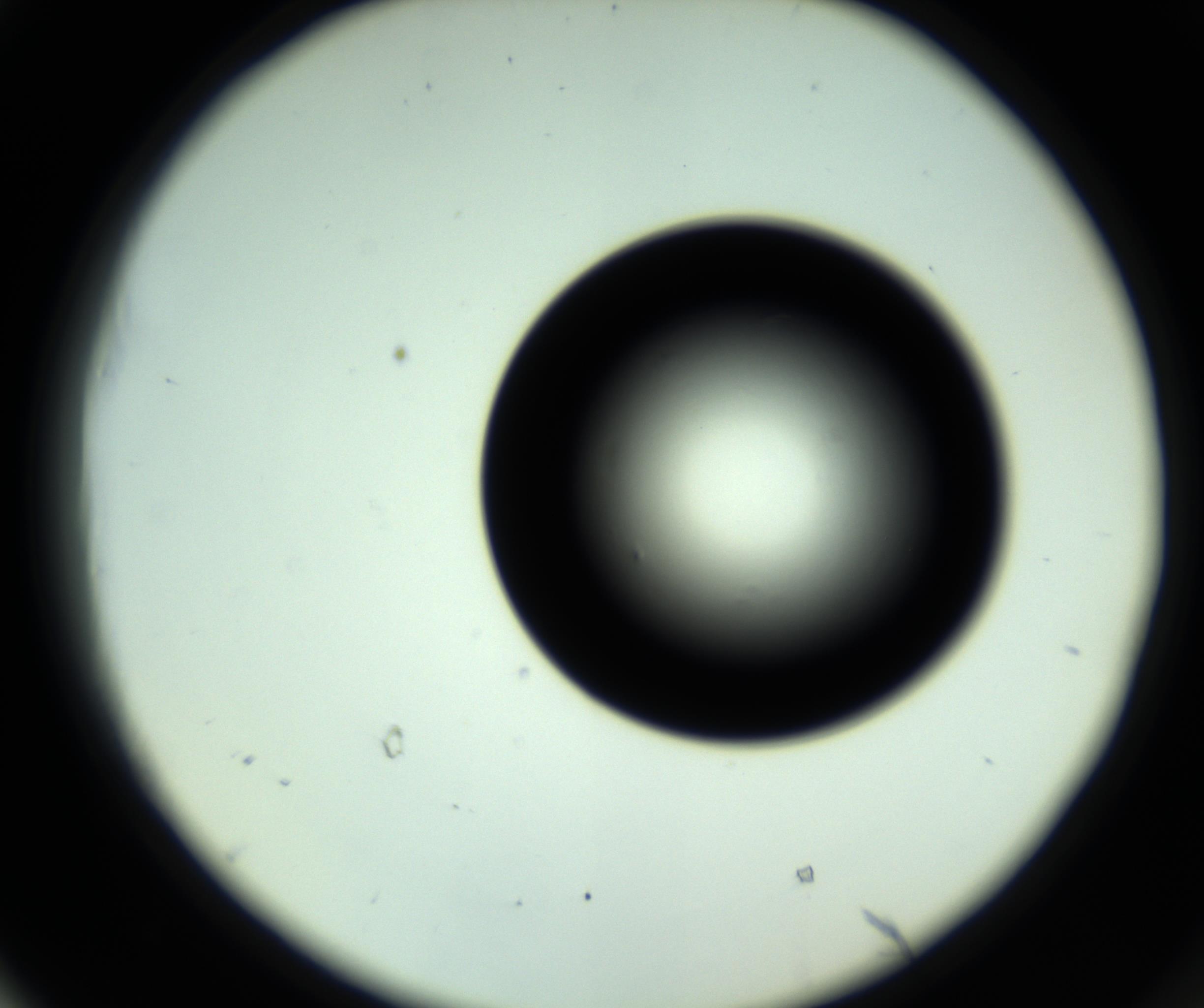 RI01_03_000_0212_Proj1_Clon1_MC_0000MC102809_006_161013_05_05_02_00_98_002_001_RAI.jpg