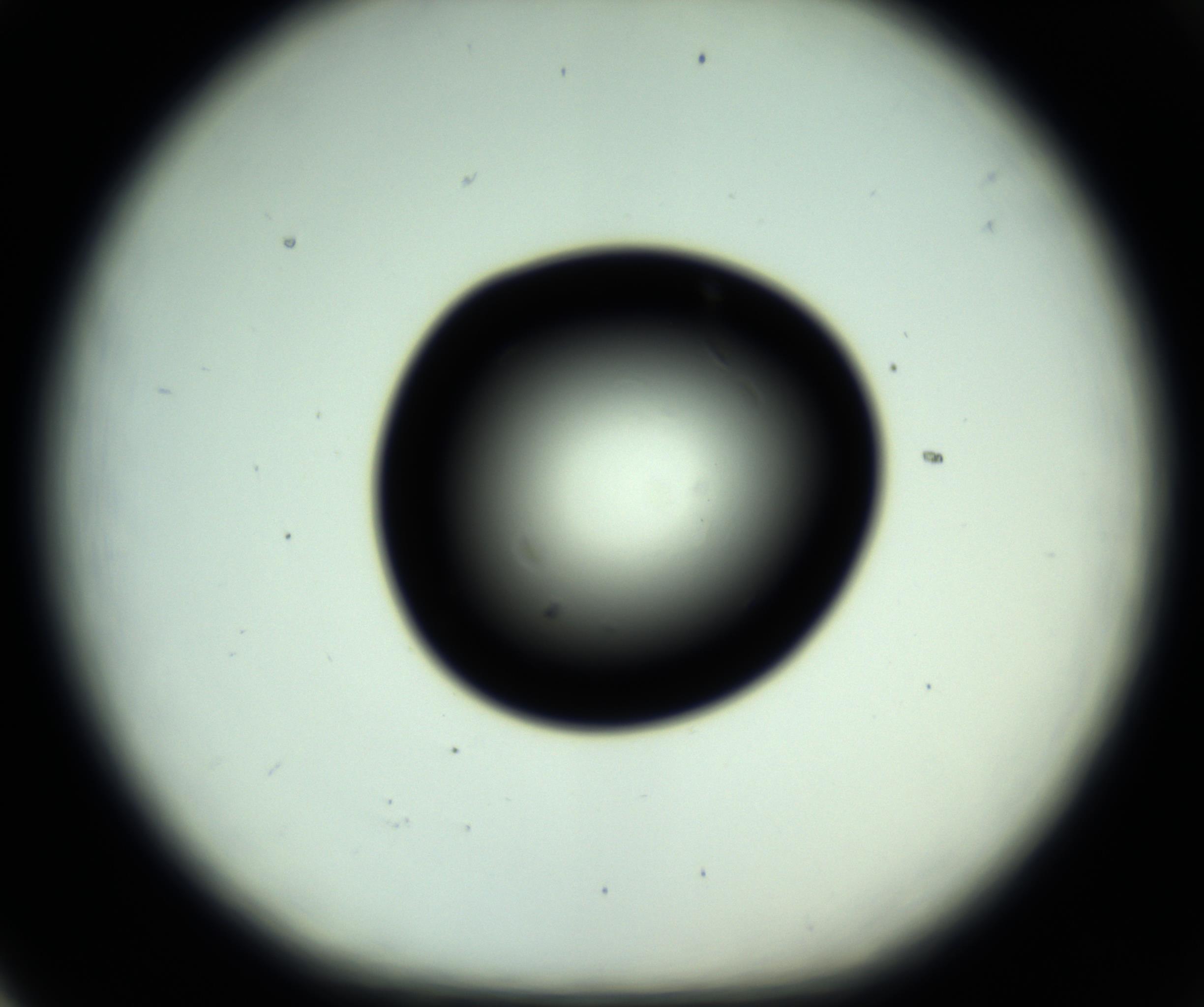 RI01_03_000_0212_Proj1_Clon1_MC_0000MC102809_006_161013_05_06_01_00_98_002_001_RAI.jpg