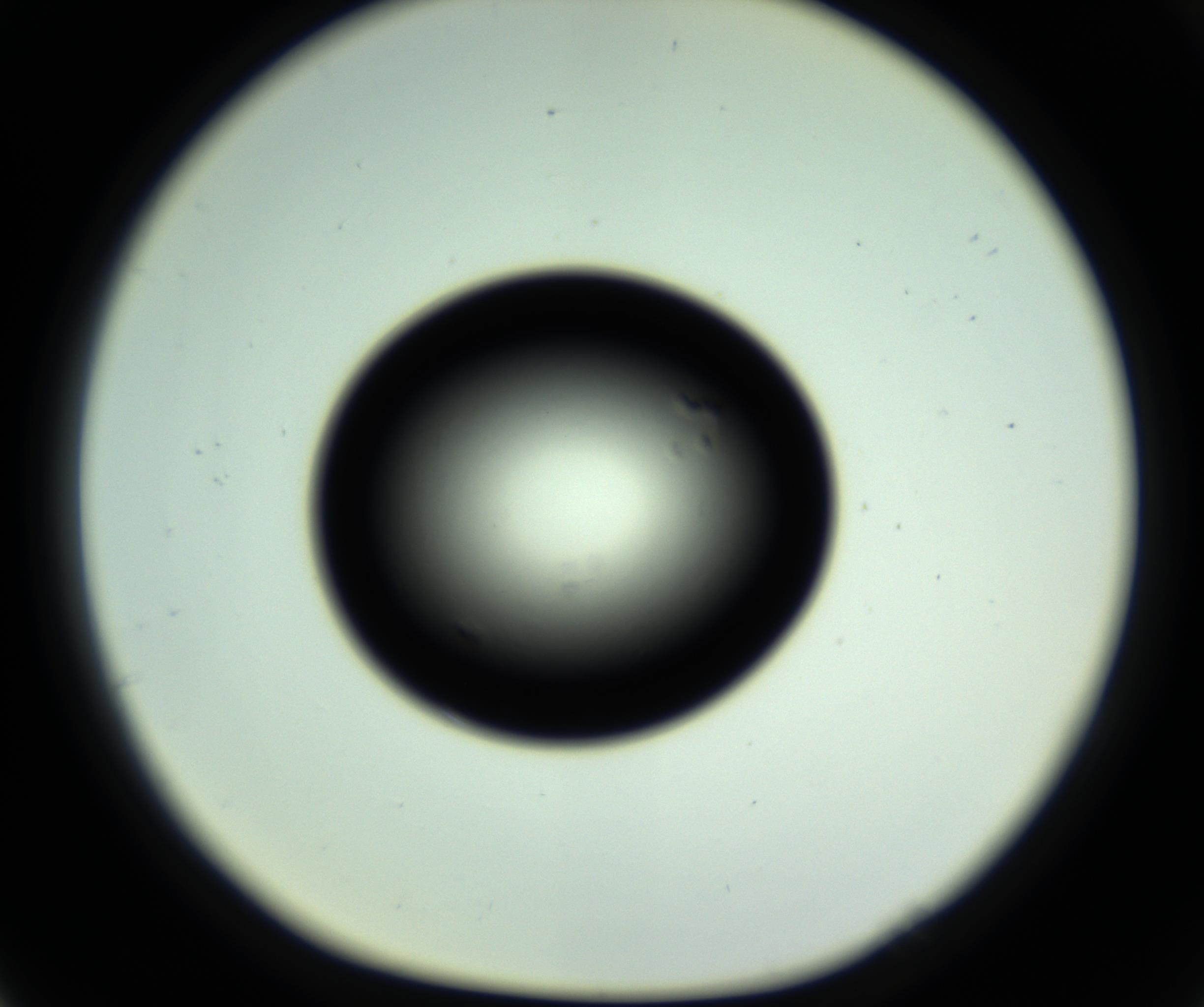 RI01_03_000_0212_Proj1_Clon1_MC_0000MC102809_006_161013_05_07_01_00_98_002_001_RAI.jpg
