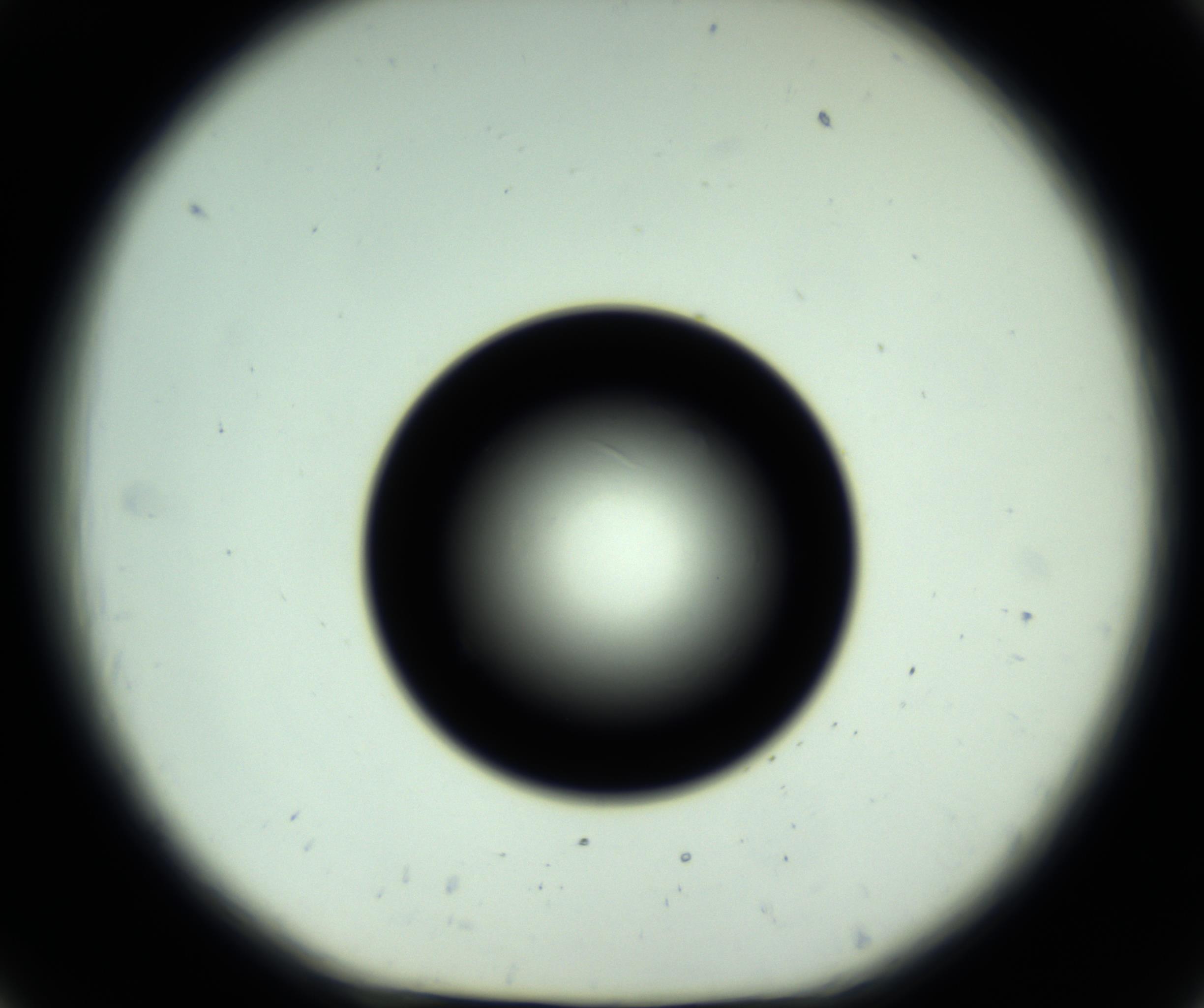 RI01_03_000_0212_Proj1_Clon1_MC_0000MC102809_006_161013_06_02_01_00_98_002_001_RAI.jpg