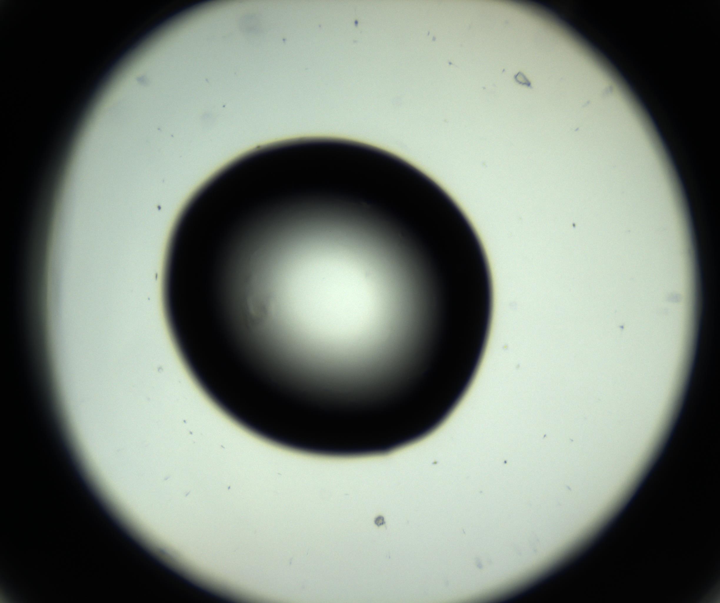 RI01_03_000_0212_Proj1_Clon1_MC_0000MC102809_006_161013_06_02_02_00_98_002_001_RAI.jpg
