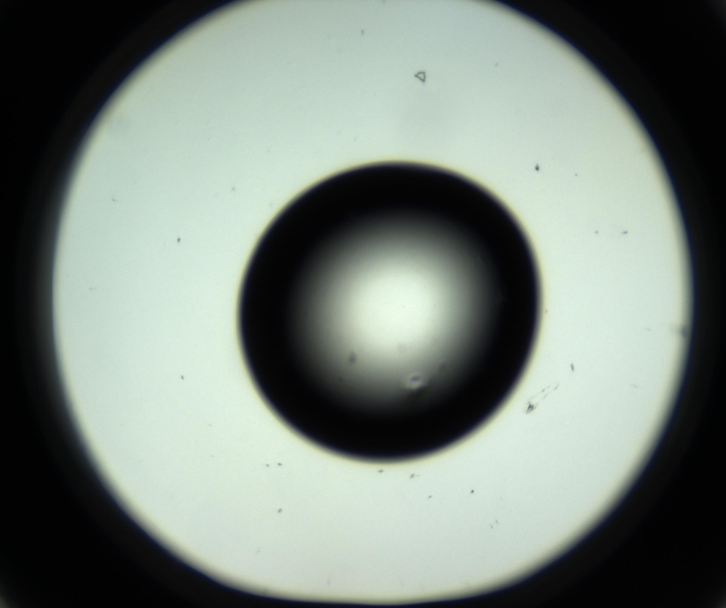RI01_03_000_0212_Proj1_Clon1_MC_0000MC102809_006_161013_06_04_01_00_98_002_001_RAI.jpg