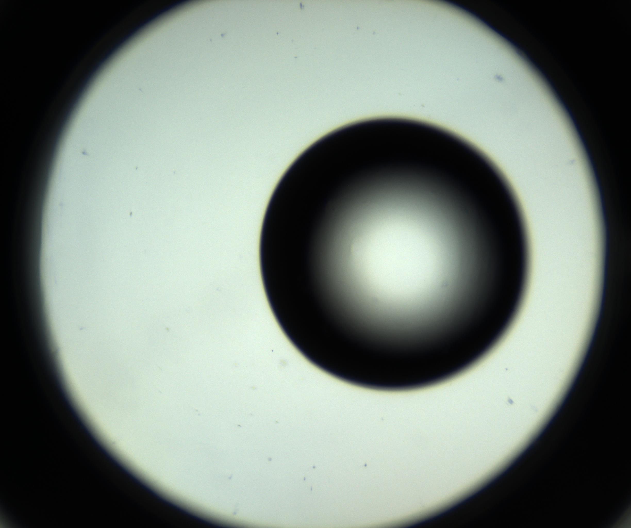RI01_03_000_0212_Proj1_Clon1_MC_0000MC102809_006_161013_06_05_02_00_98_002_001_RAI.jpg
