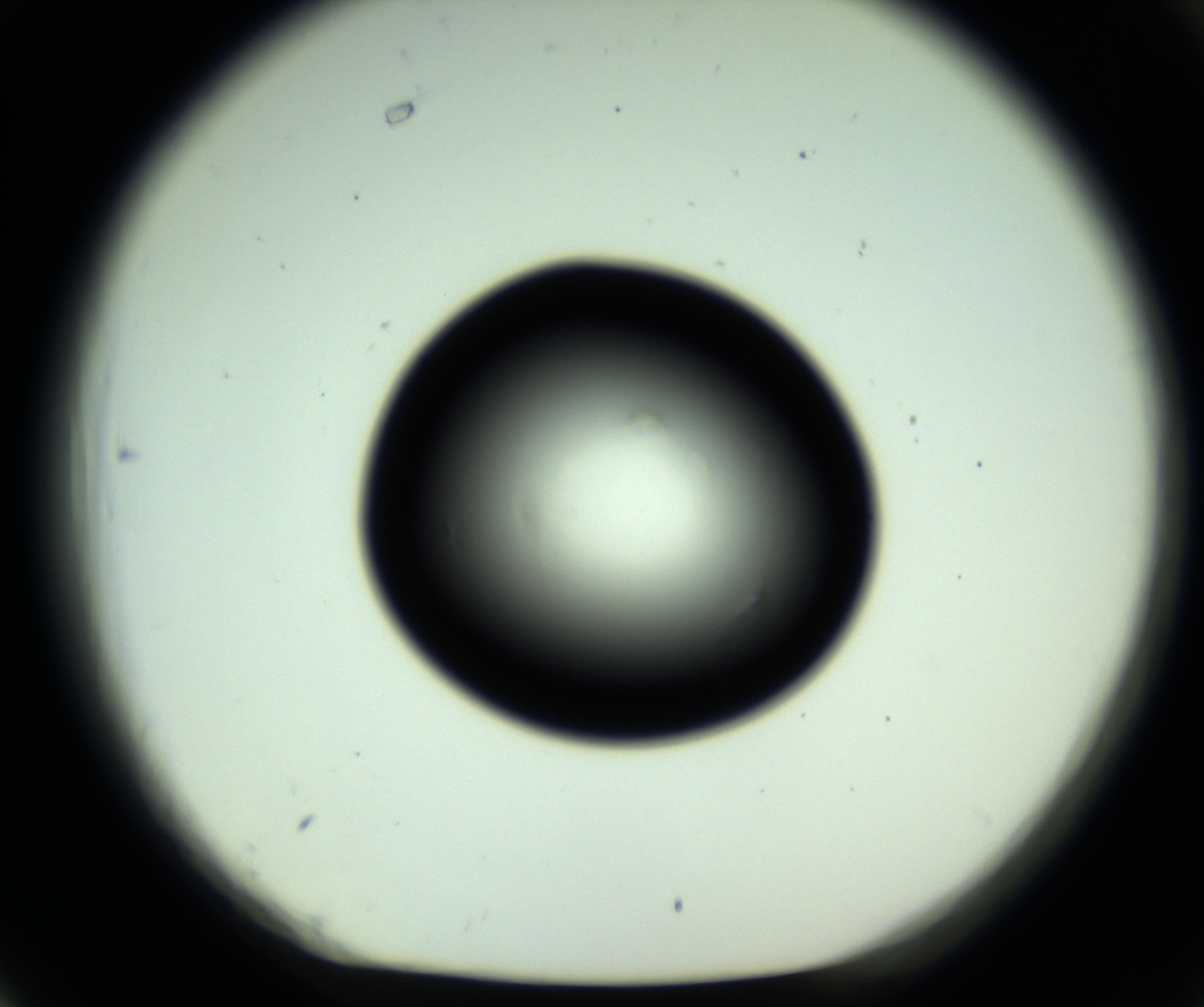 RI01_03_000_0212_Proj1_Clon1_MC_0000MC102809_006_161013_06_06_01_00_98_002_001_RAI.jpg
