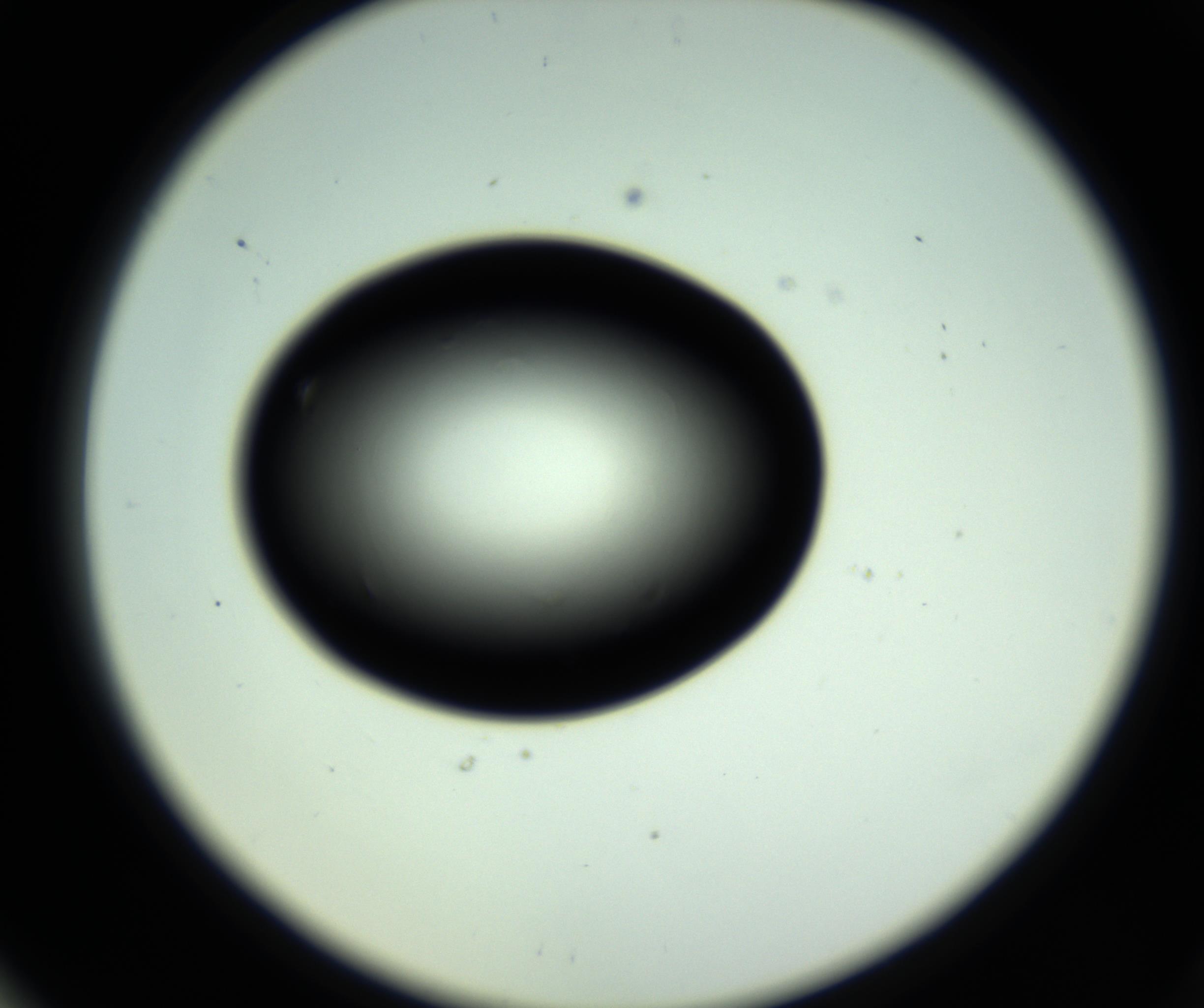 RI01_03_000_0212_Proj1_Clon1_MC_0000MC102809_006_161013_06_06_02_00_98_002_001_RAI.jpg