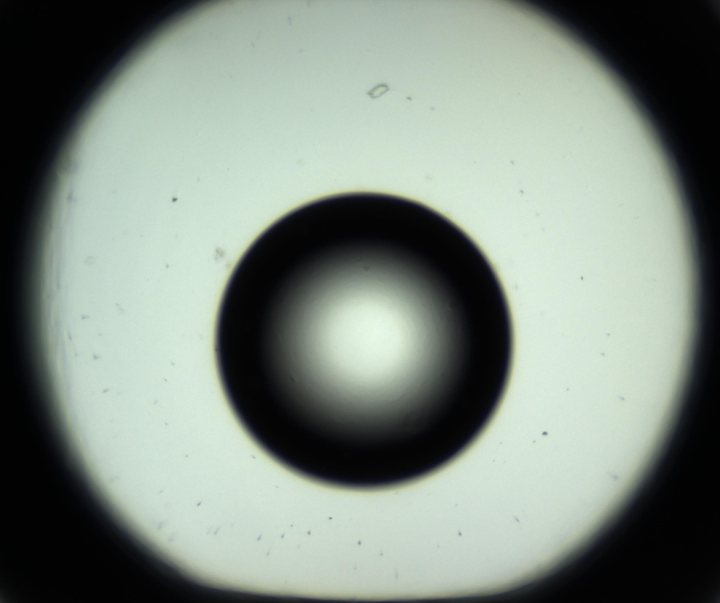 RI01_03_000_0212_Proj1_Clon1_MC_0000MC102809_006_161013_07_02_01_00_98_002_001_RAI.jpg