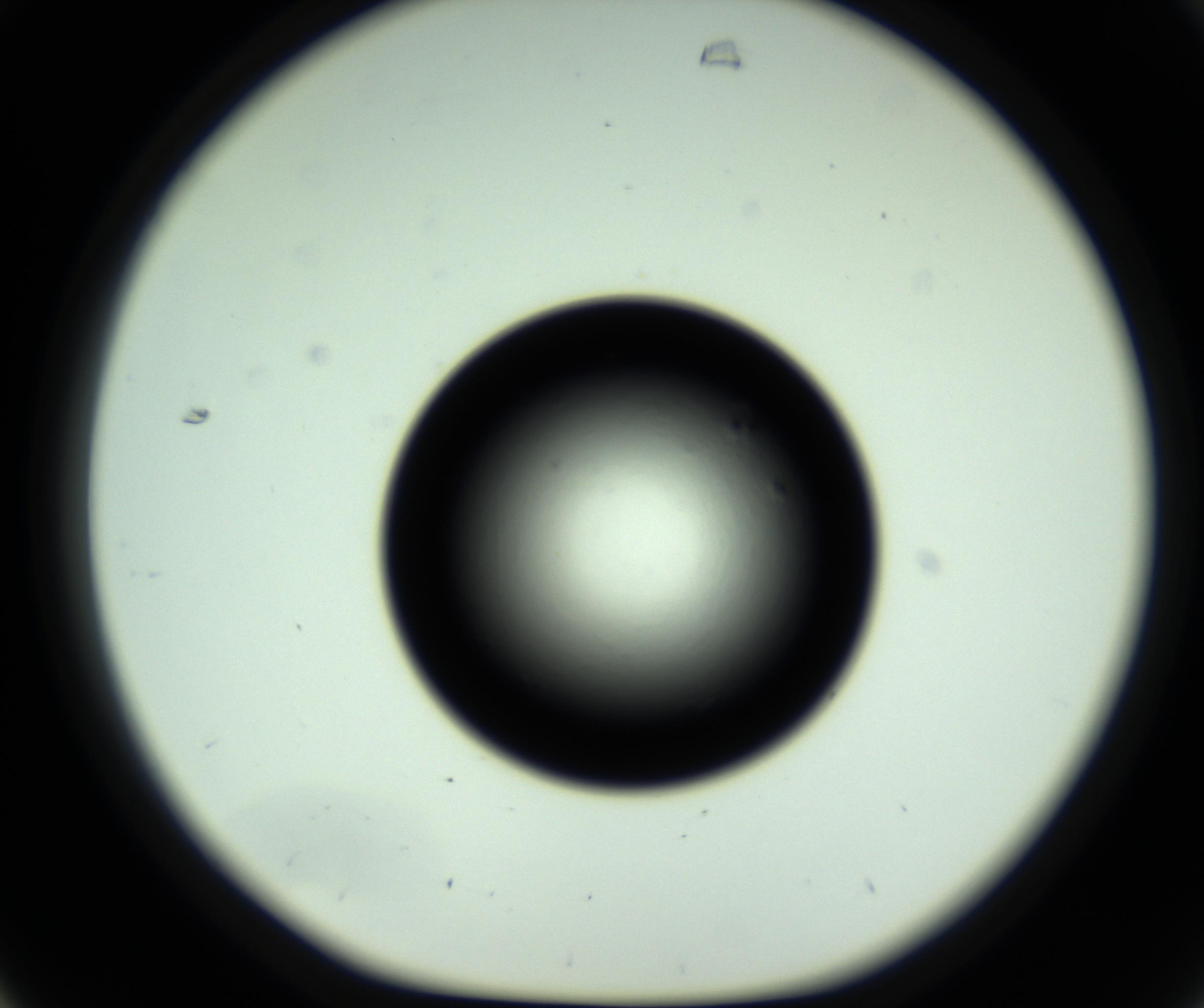 RI01_03_000_0212_Proj1_Clon1_MC_0000MC102809_006_161013_07_03_01_00_98_002_001_RAI.jpg