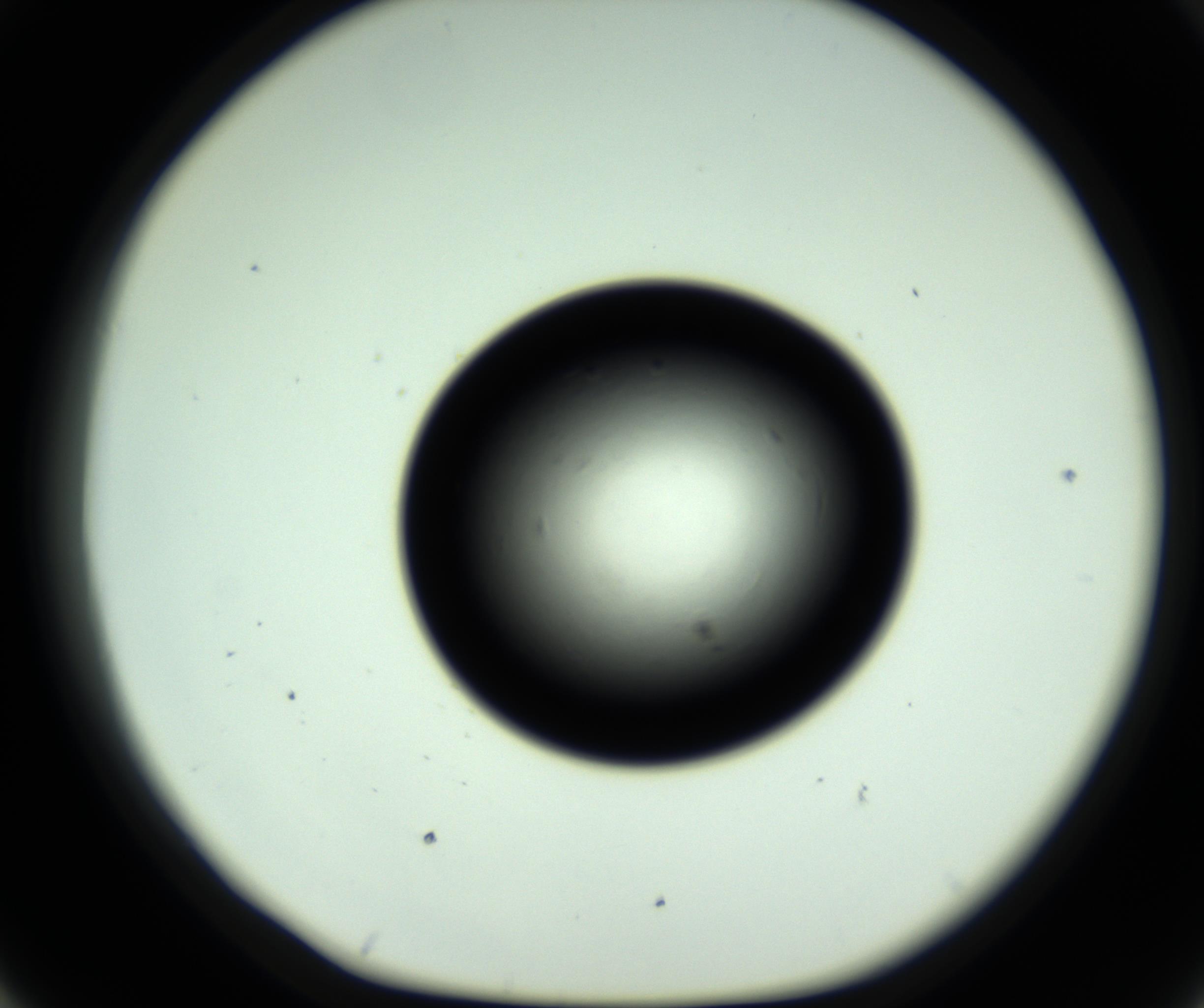 RI01_03_000_0212_Proj1_Clon1_MC_0000MC102809_006_161013_07_04_01_00_98_002_001_RAI.jpg