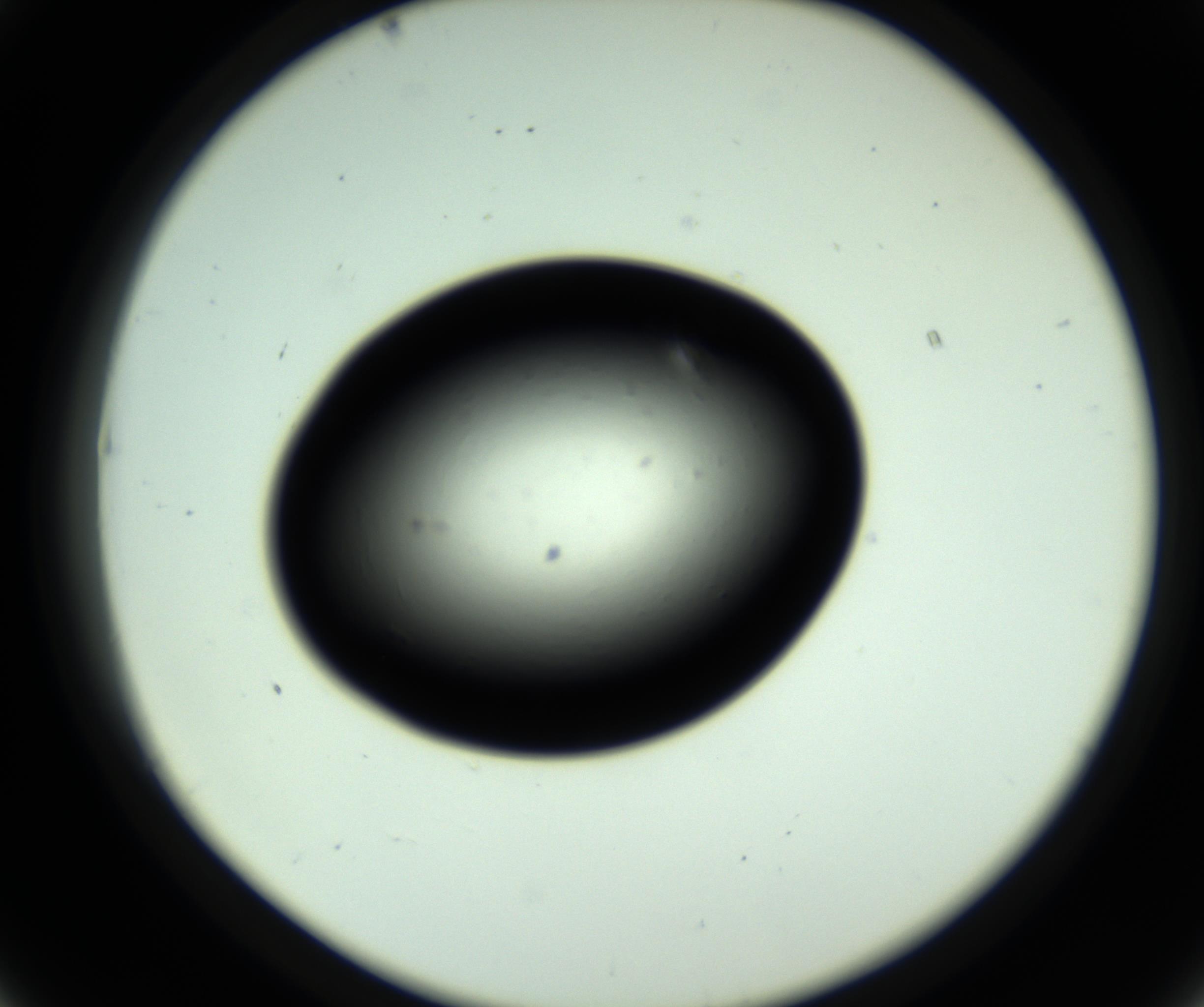 RI01_03_000_0212_Proj1_Clon1_MC_0000MC102809_006_161013_07_04_02_00_98_002_001_RAI.jpg