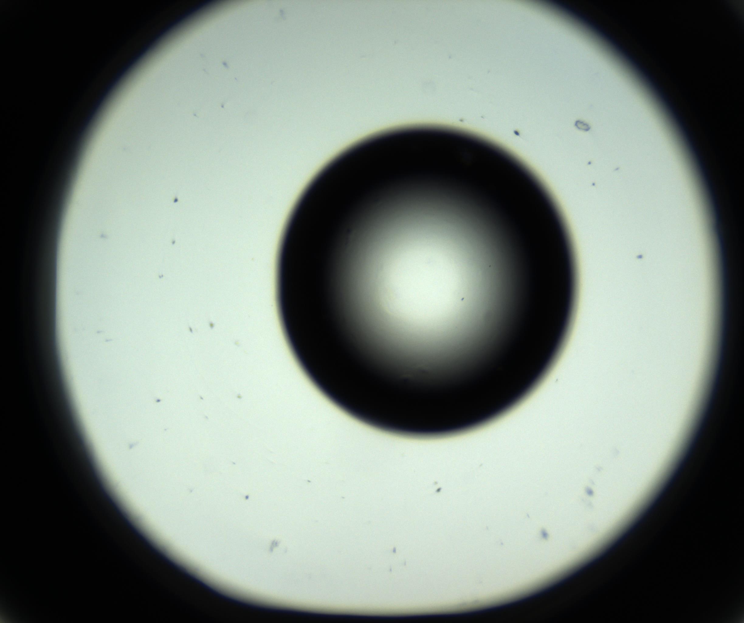RI01_03_000_0212_Proj1_Clon1_MC_0000MC102809_006_161013_07_05_01_00_98_002_001_RAI.jpg
