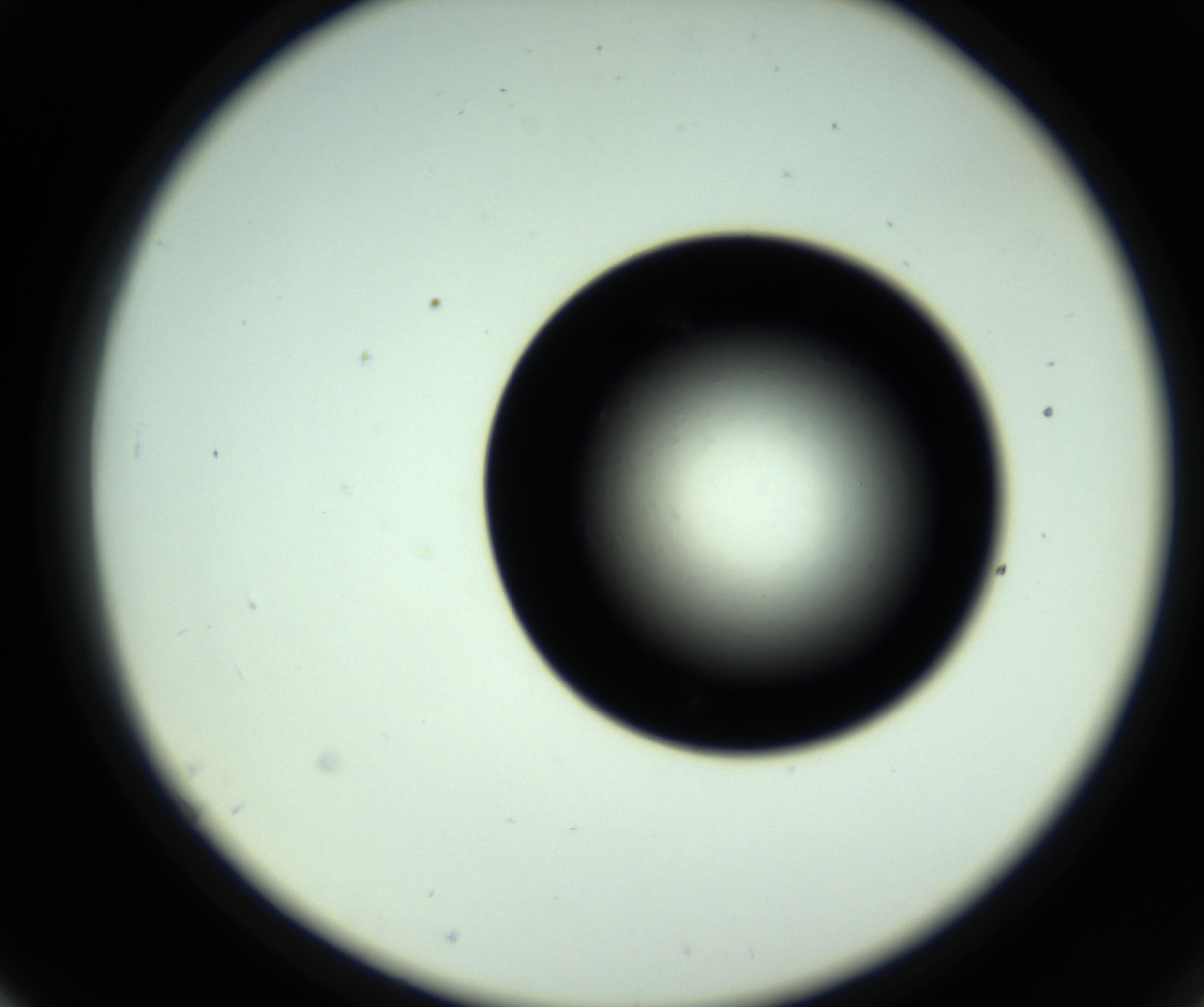 RI01_03_000_0212_Proj1_Clon1_MC_0000MC102809_006_161013_07_05_02_00_98_002_001_RAI.jpg