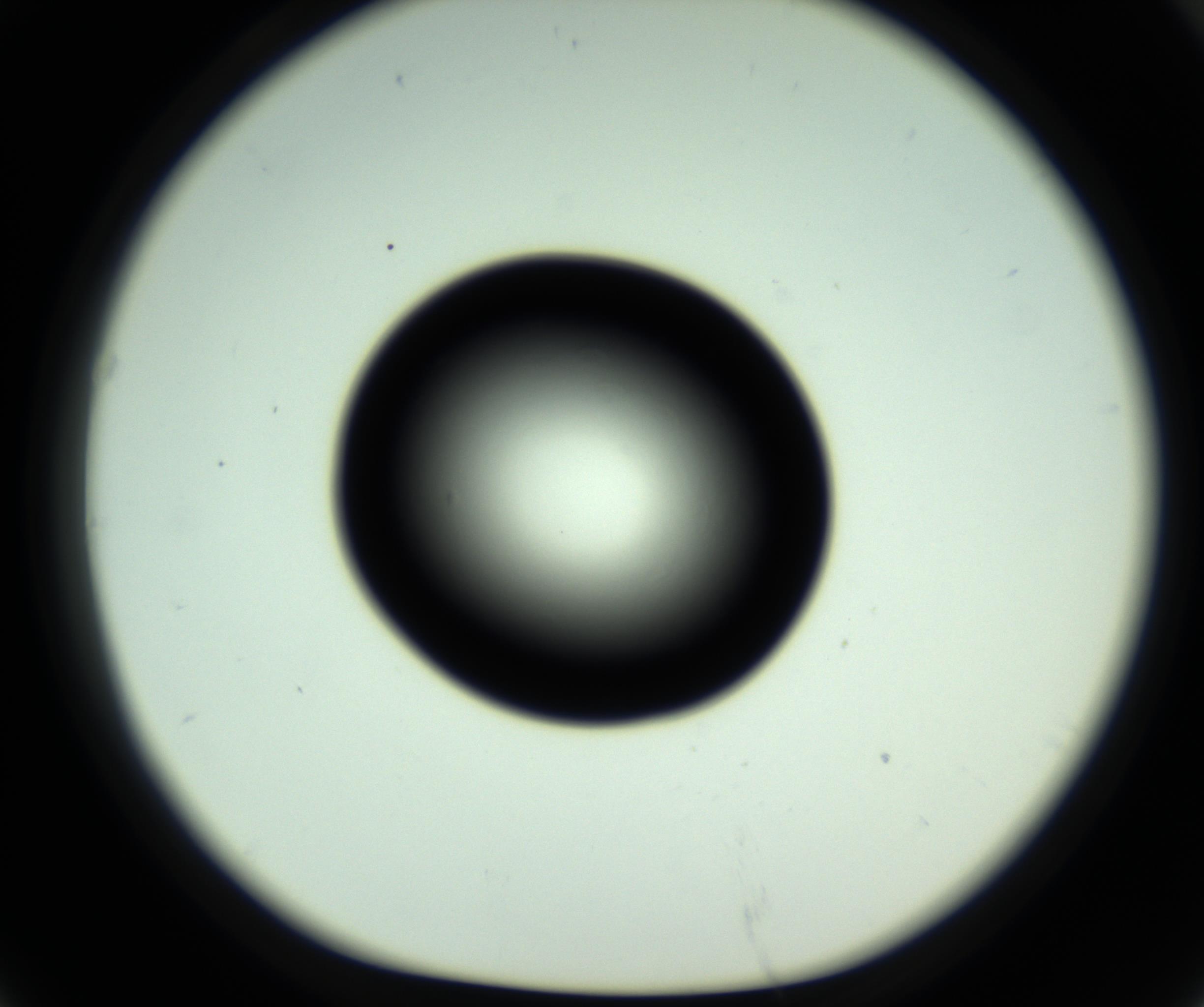 RI01_03_000_0212_Proj1_Clon1_MC_0000MC102809_006_161013_07_06_01_00_98_002_001_RAI.jpg