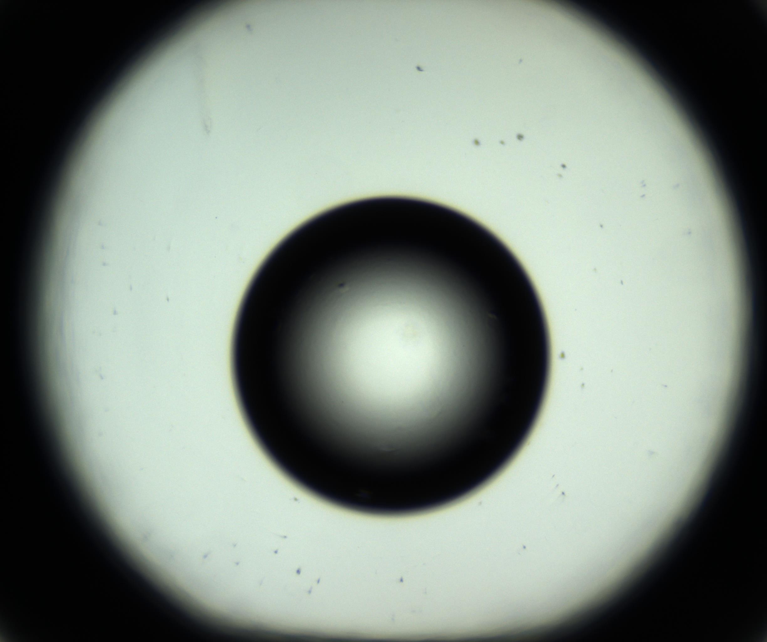 RI01_03_000_0212_Proj1_Clon1_MC_0000MC102809_006_161013_08_02_01_00_98_002_001_RAI.jpg