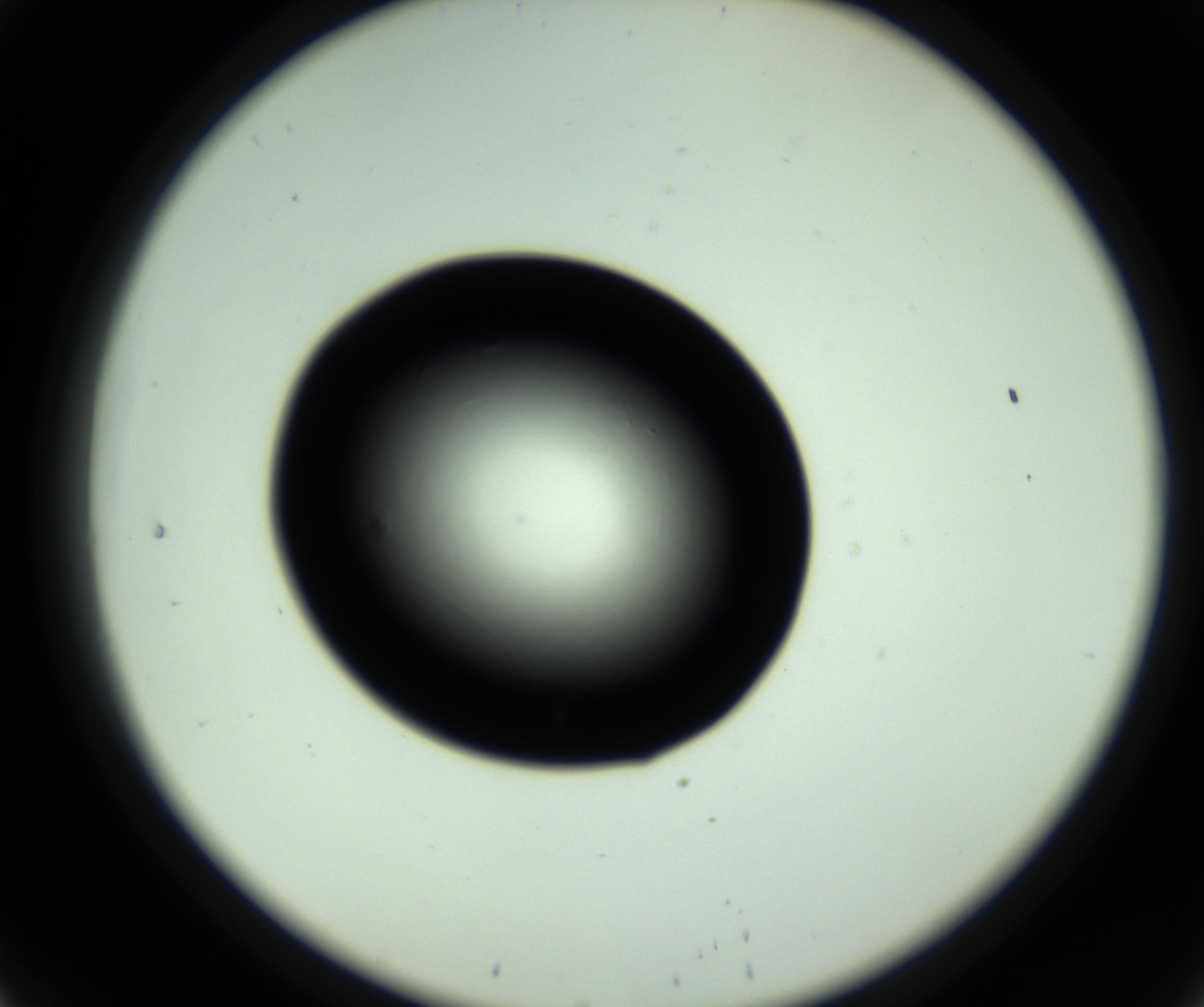 RI01_03_000_0212_Proj1_Clon1_MC_0000MC102809_006_161013_08_02_02_00_98_002_001_RAI.jpg