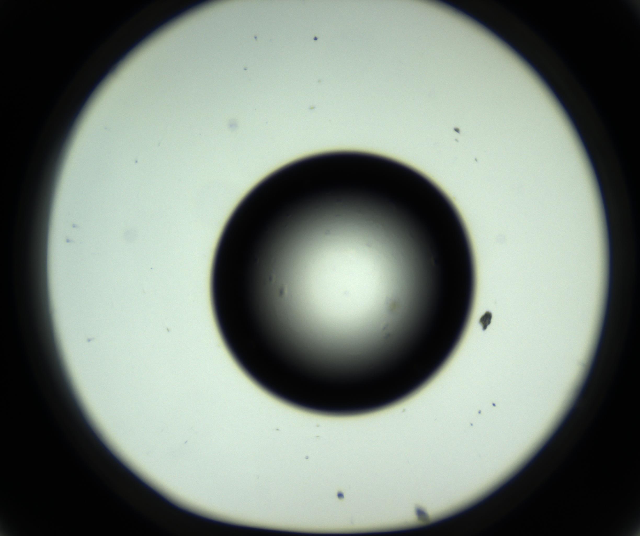 RI01_03_000_0212_Proj1_Clon1_MC_0000MC102809_006_161013_08_03_01_00_98_002_001_RAI.jpg