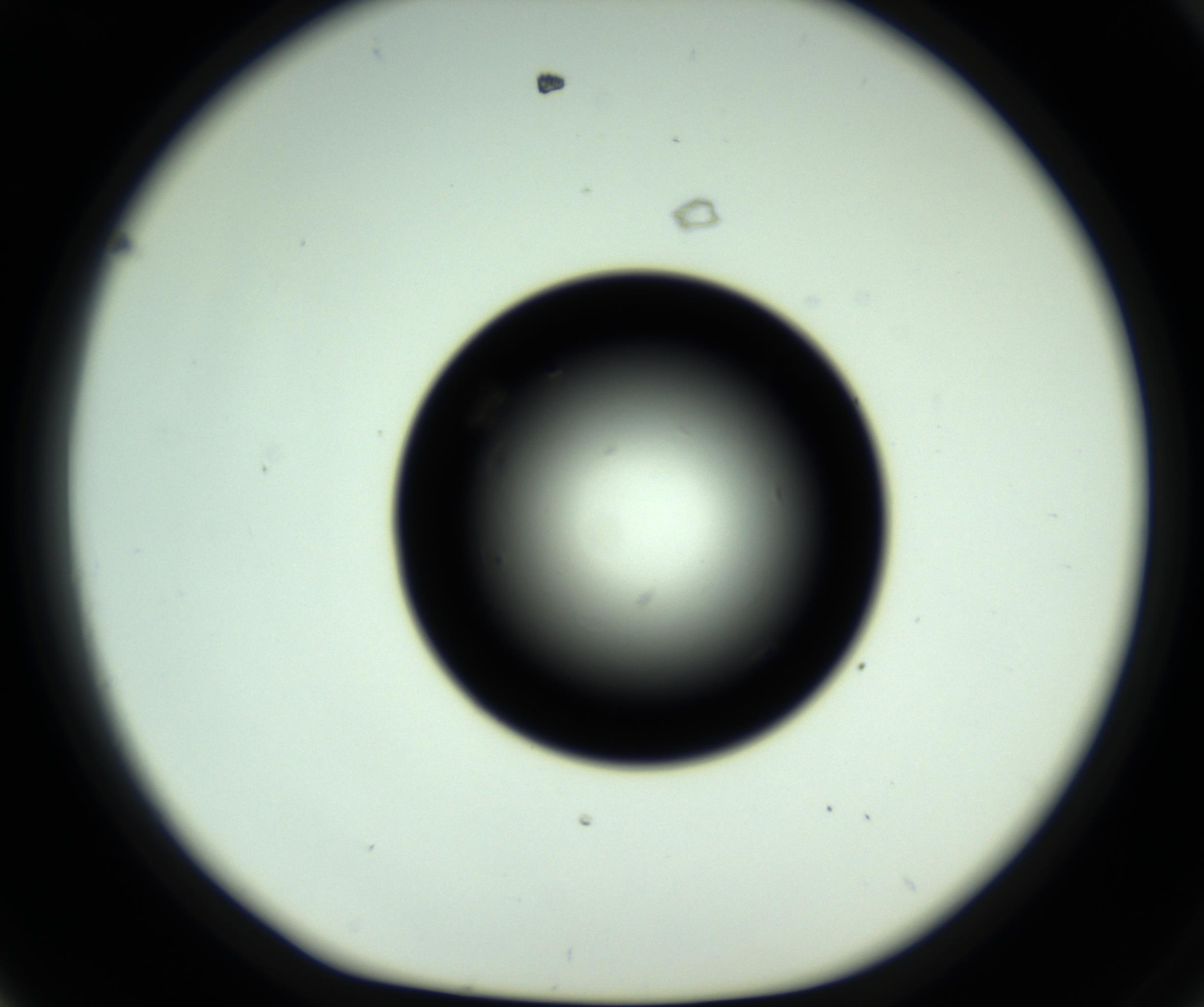 RI01_03_000_0212_Proj1_Clon1_MC_0000MC102809_006_161013_08_04_01_00_98_002_001_RAI.jpg