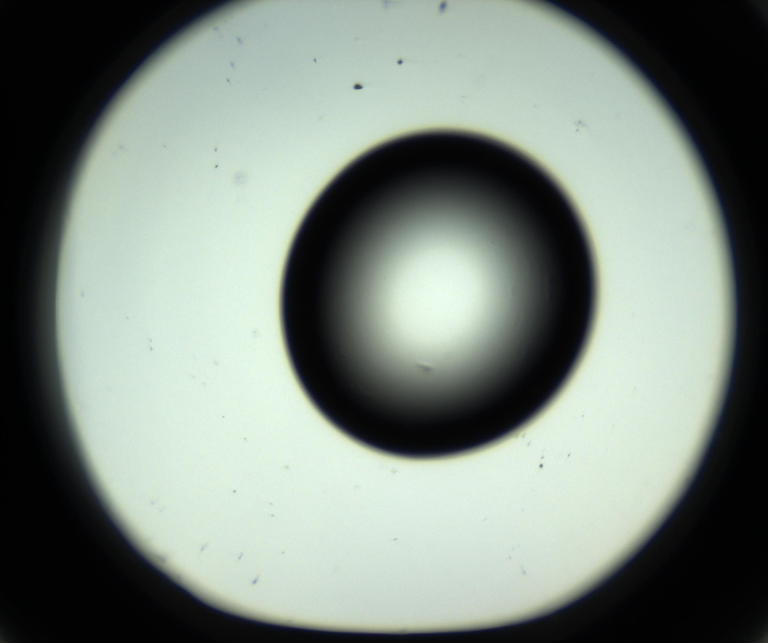 RI01_03_000_0212_Proj1_Clon1_MC_0000MC102809_006_161013_08_05_01_00_98_002_001_RAI.jpg