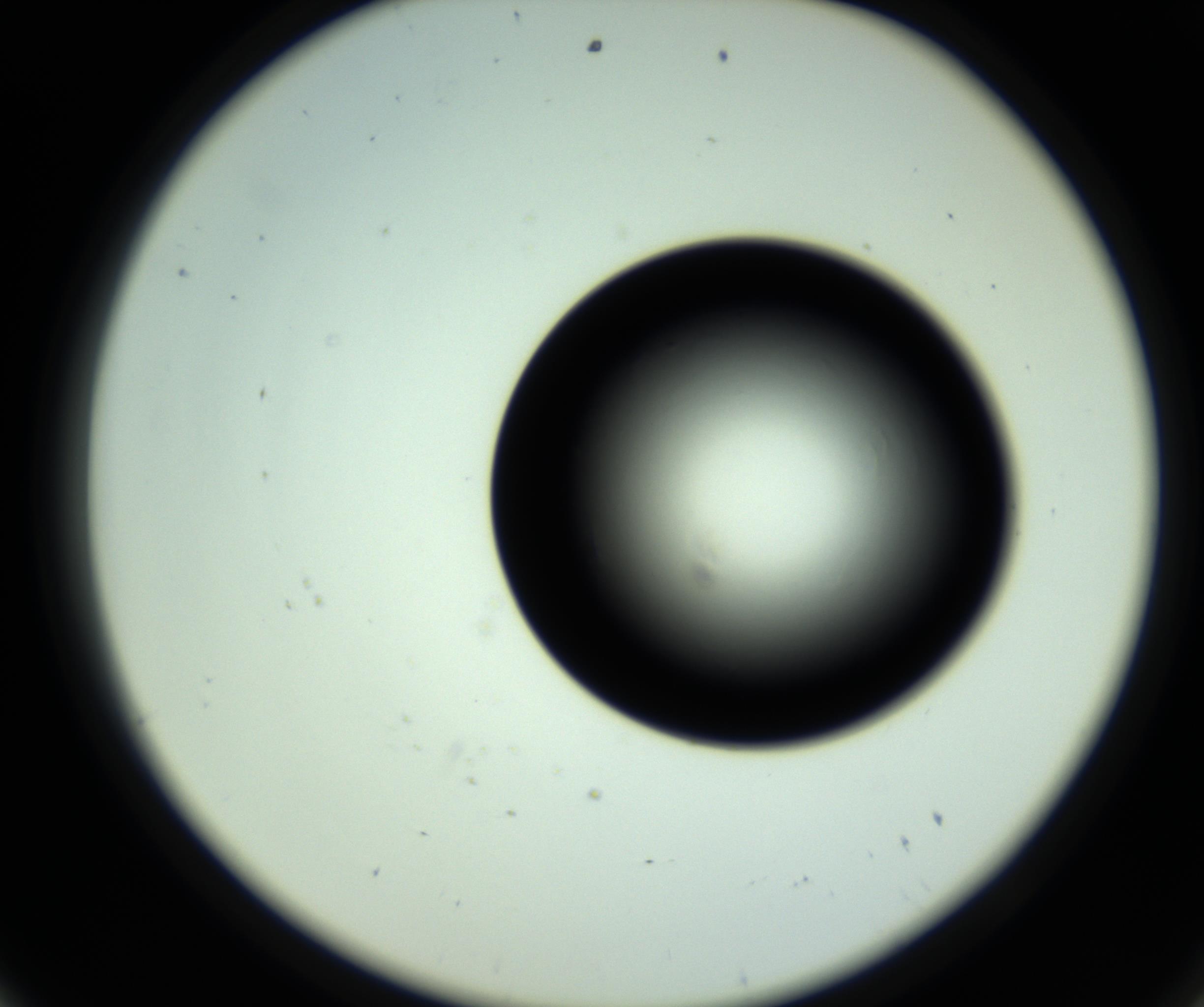 RI01_03_000_0212_Proj1_Clon1_MC_0000MC102809_006_161013_08_05_02_00_98_002_001_RAI.jpg
