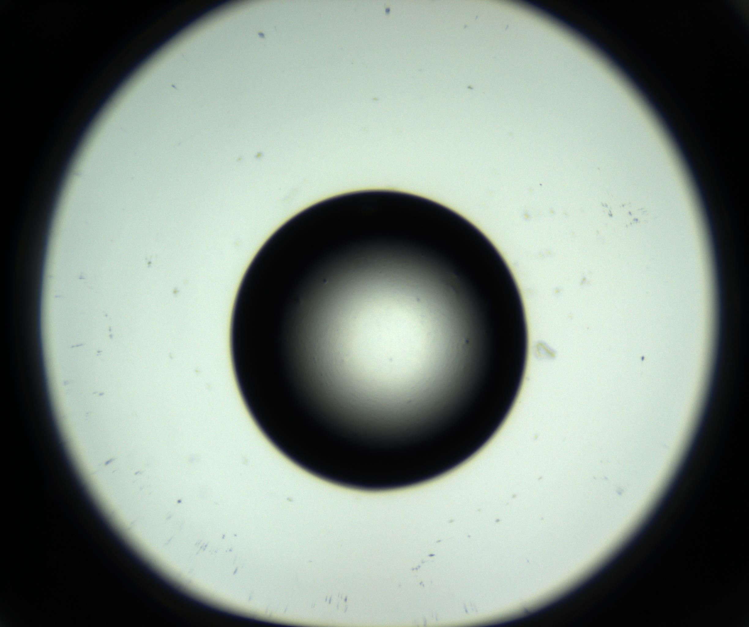 RI01_03_000_0212_Proj1_Clon1_MC_0000MC102809_006_161013_09_01_01_00_98_002_001_RAI.jpg