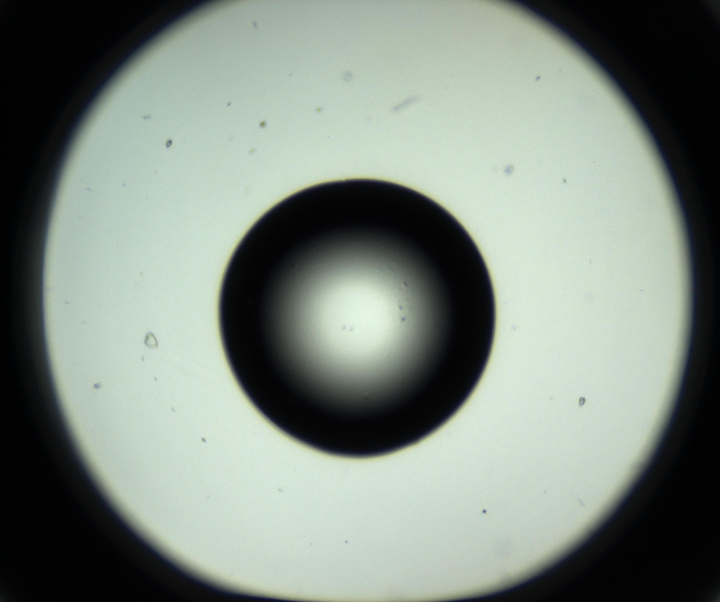 RI01_03_000_0212_Proj1_Clon1_MC_0000MC102809_006_161013_09_02_01_00_98_002_001_RAI.jpg
