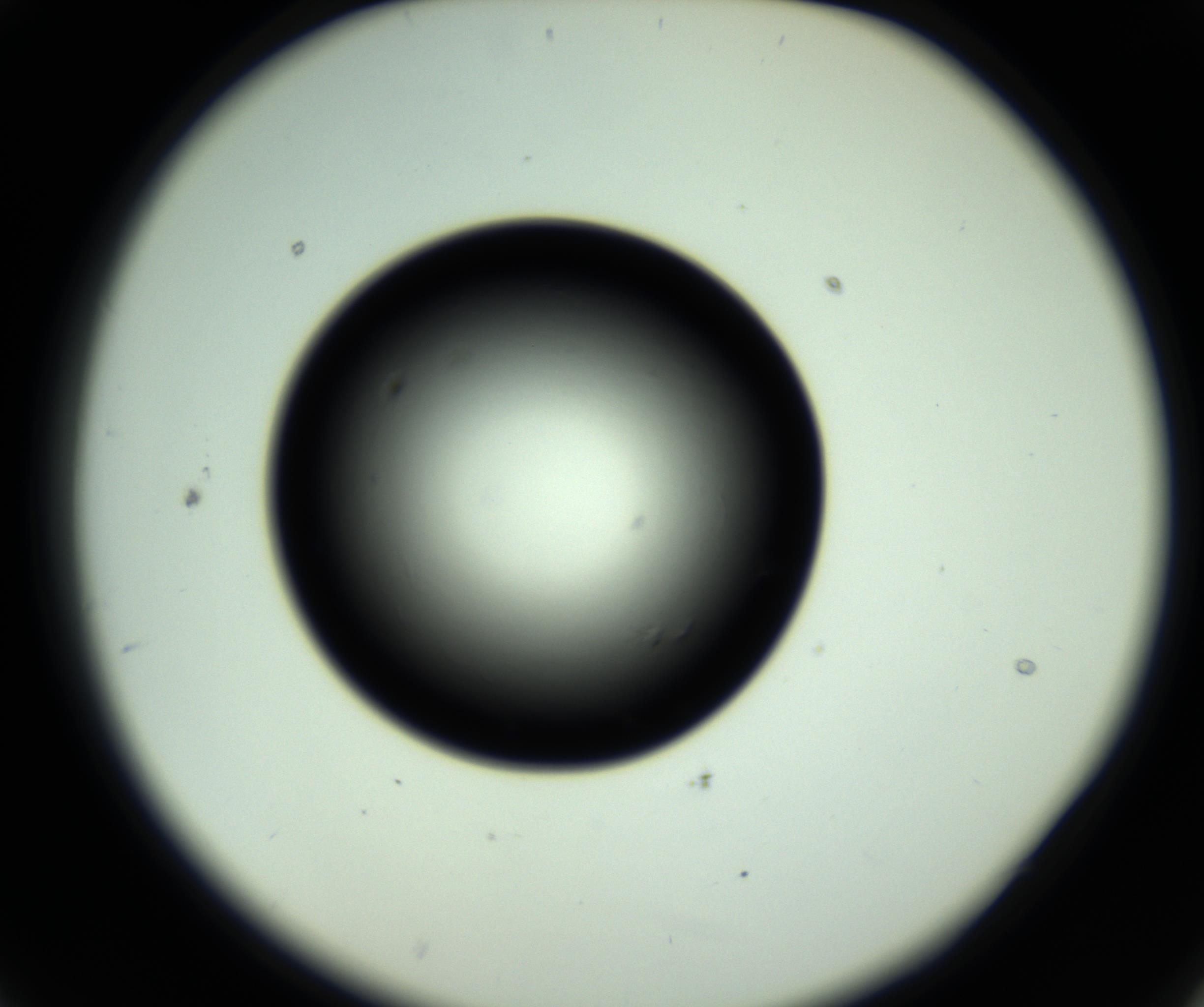 RI01_03_000_0212_Proj1_Clon1_MC_0000MC102809_006_161013_09_02_02_00_98_002_001_RAI.jpg