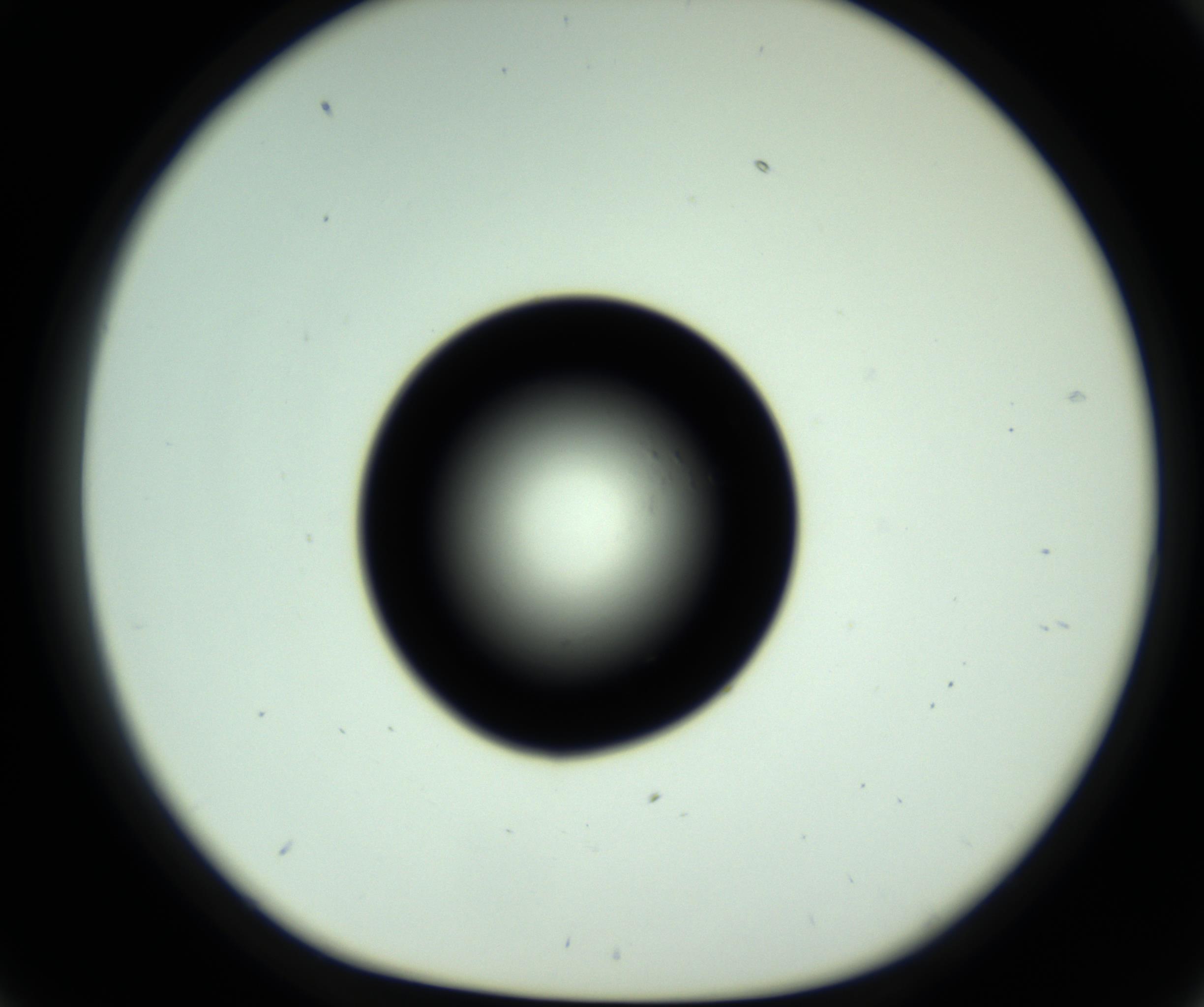 RI01_03_000_0212_Proj1_Clon1_MC_0000MC102809_006_161013_09_03_01_00_98_002_001_RAI.jpg